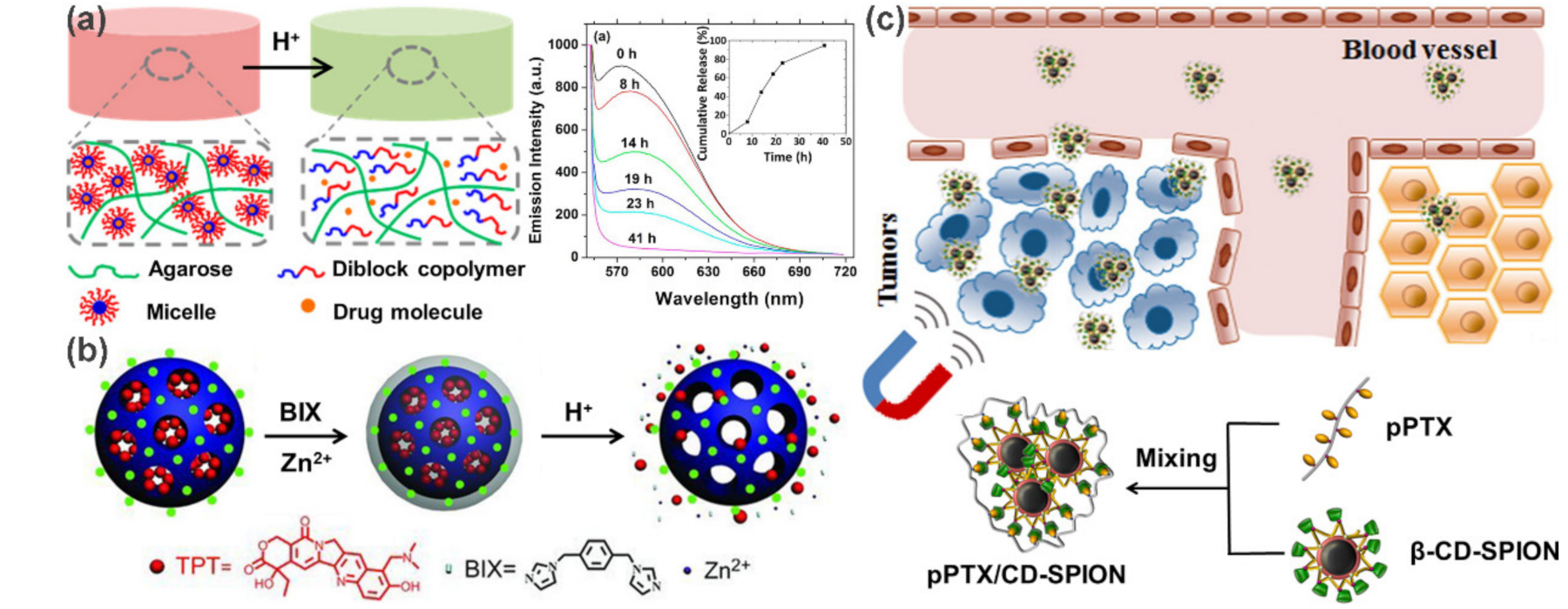 Polymers 13 00513 g004