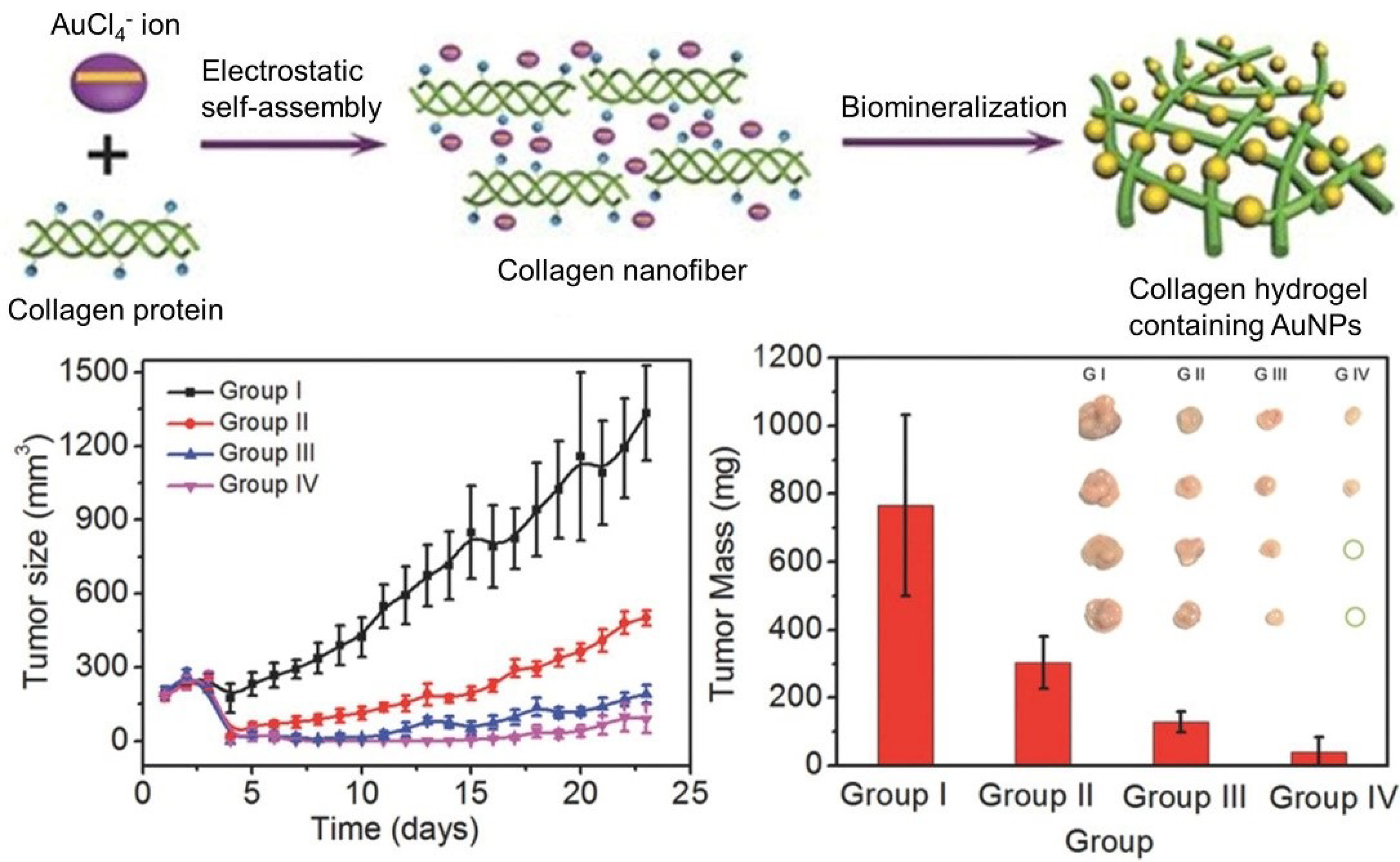 Polymers 13 00513 g005