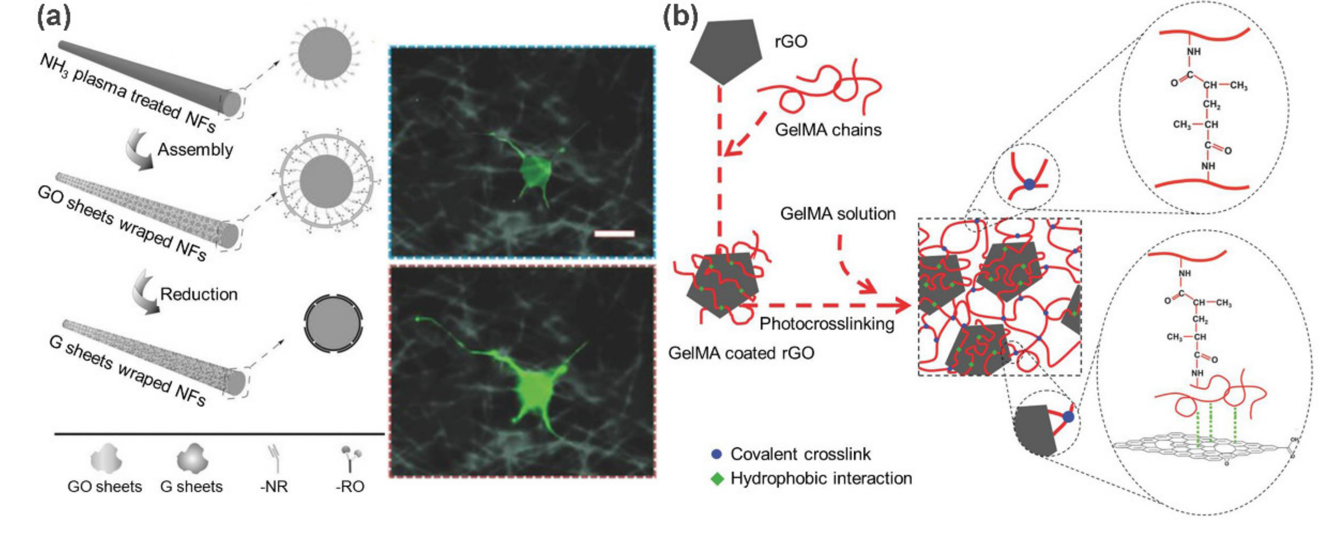Polymers 13 00513 g009