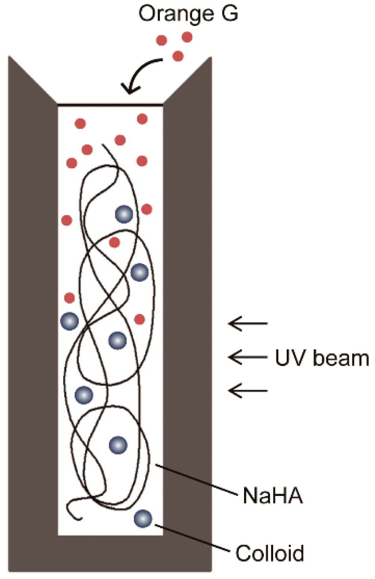 Polymers 13 00514 g001 Polymers 13 00514 g001