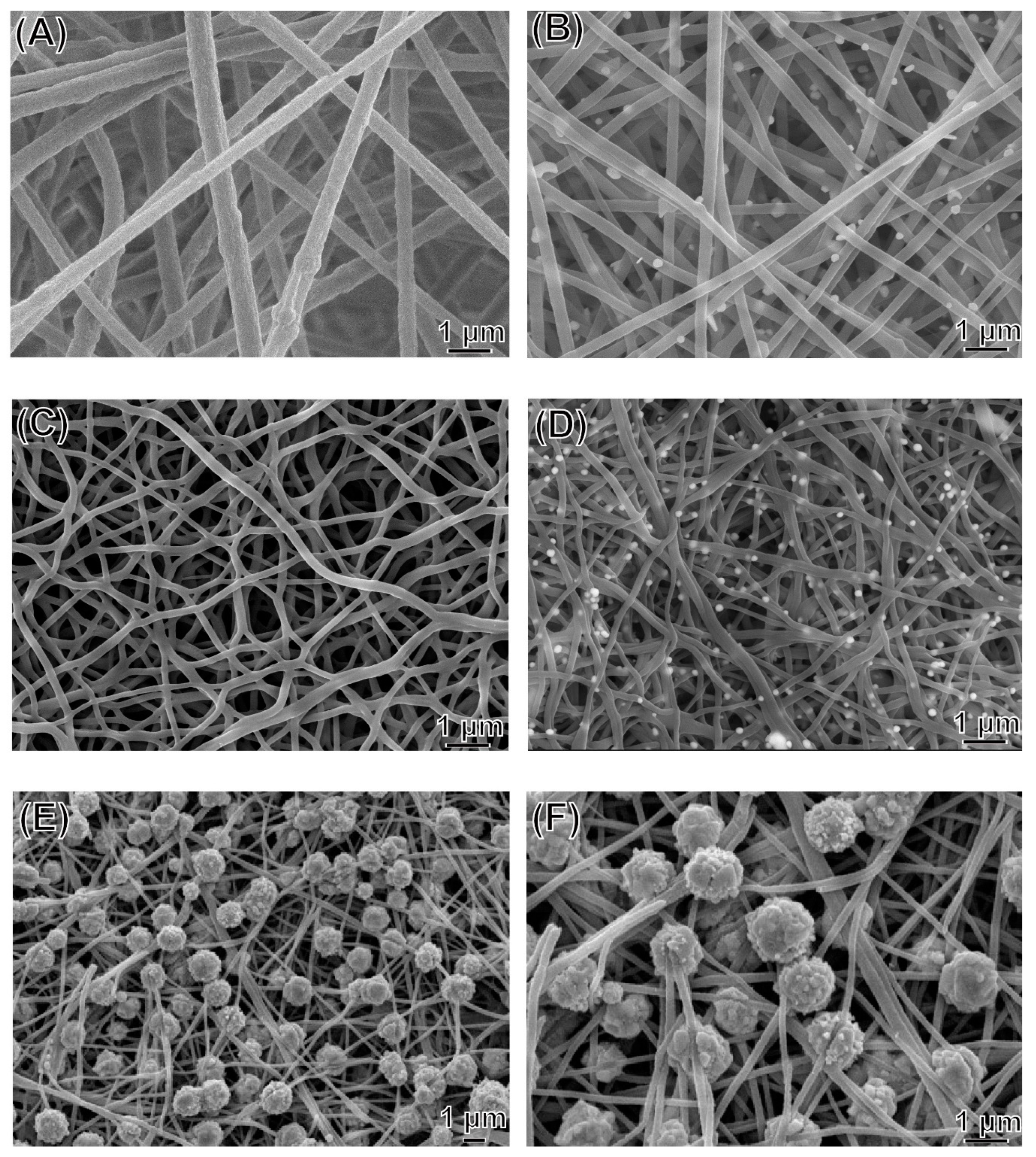 Polymers 13 00516 g001