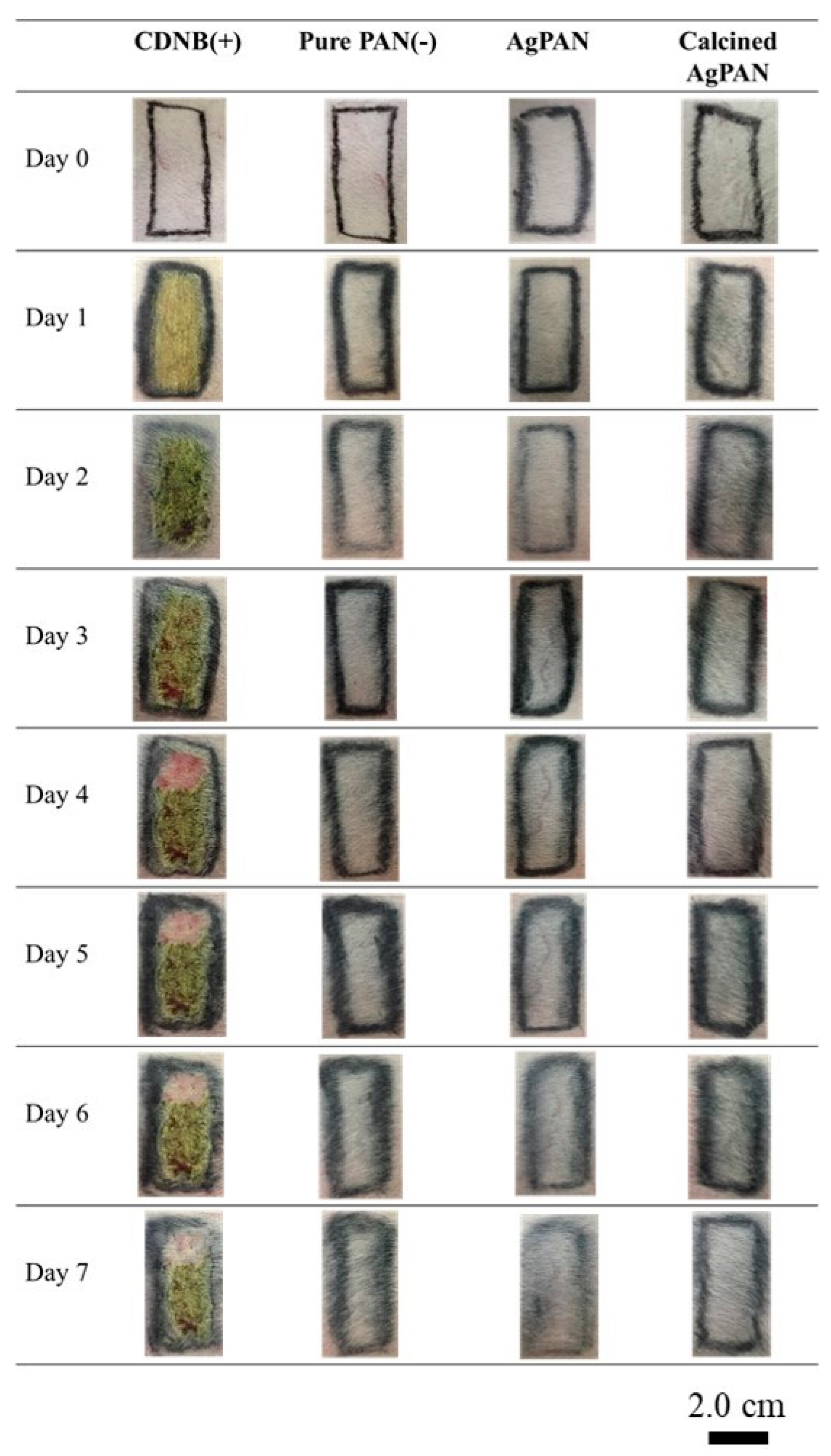 Polymers 13 00516 g007