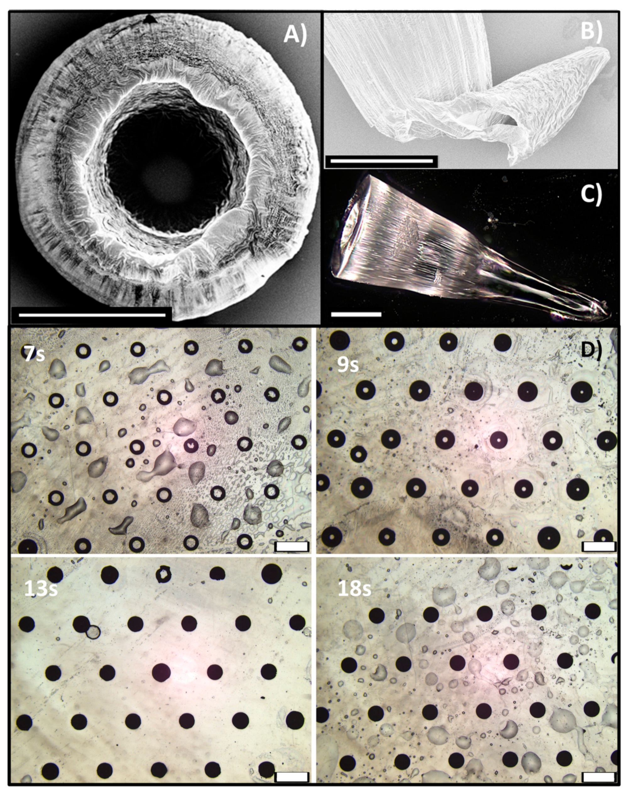 Polymers 13 00520 g004 Polymers 13 00520 g004