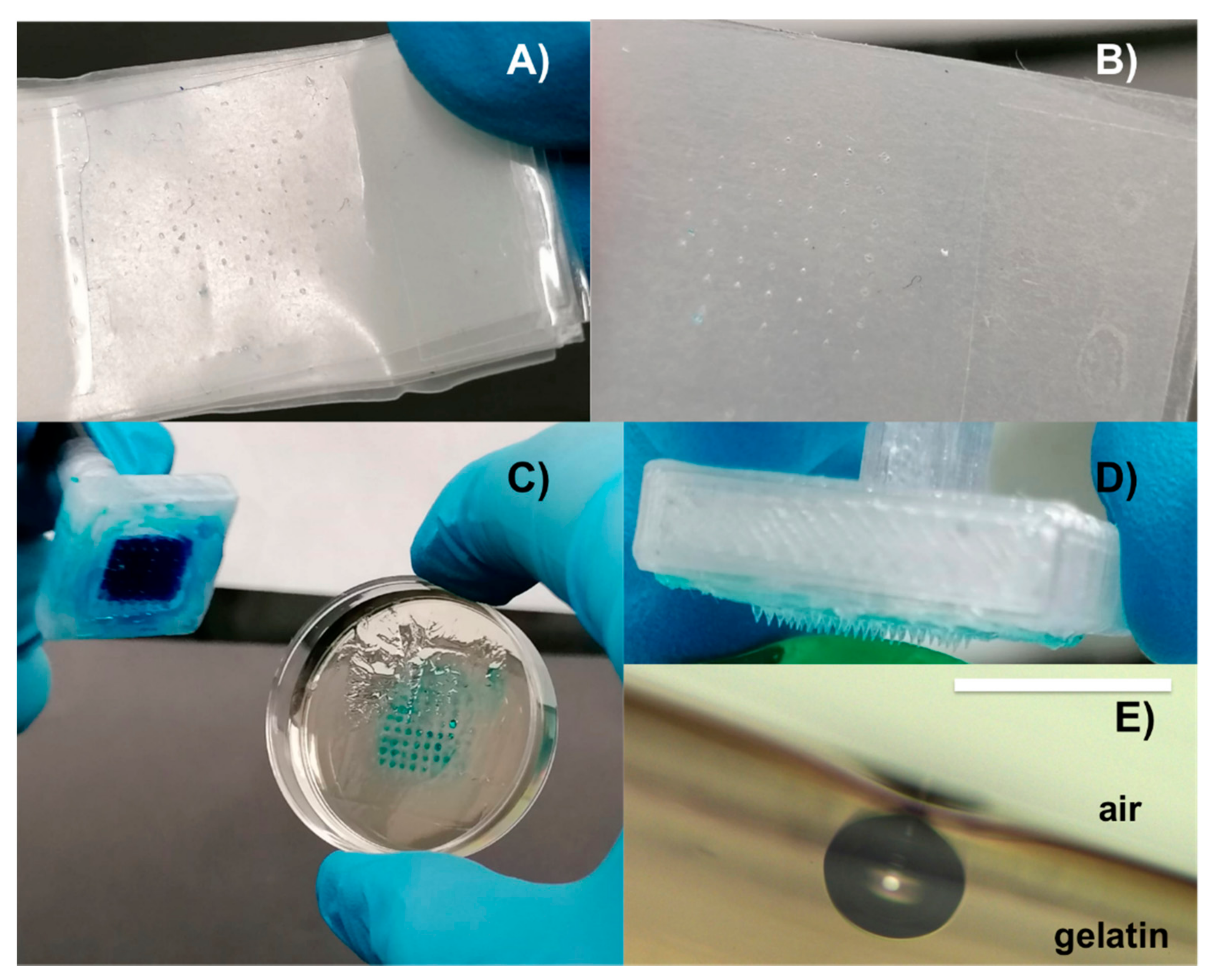 Polymers 13 00520 g006 Polymers 13 00520 g006