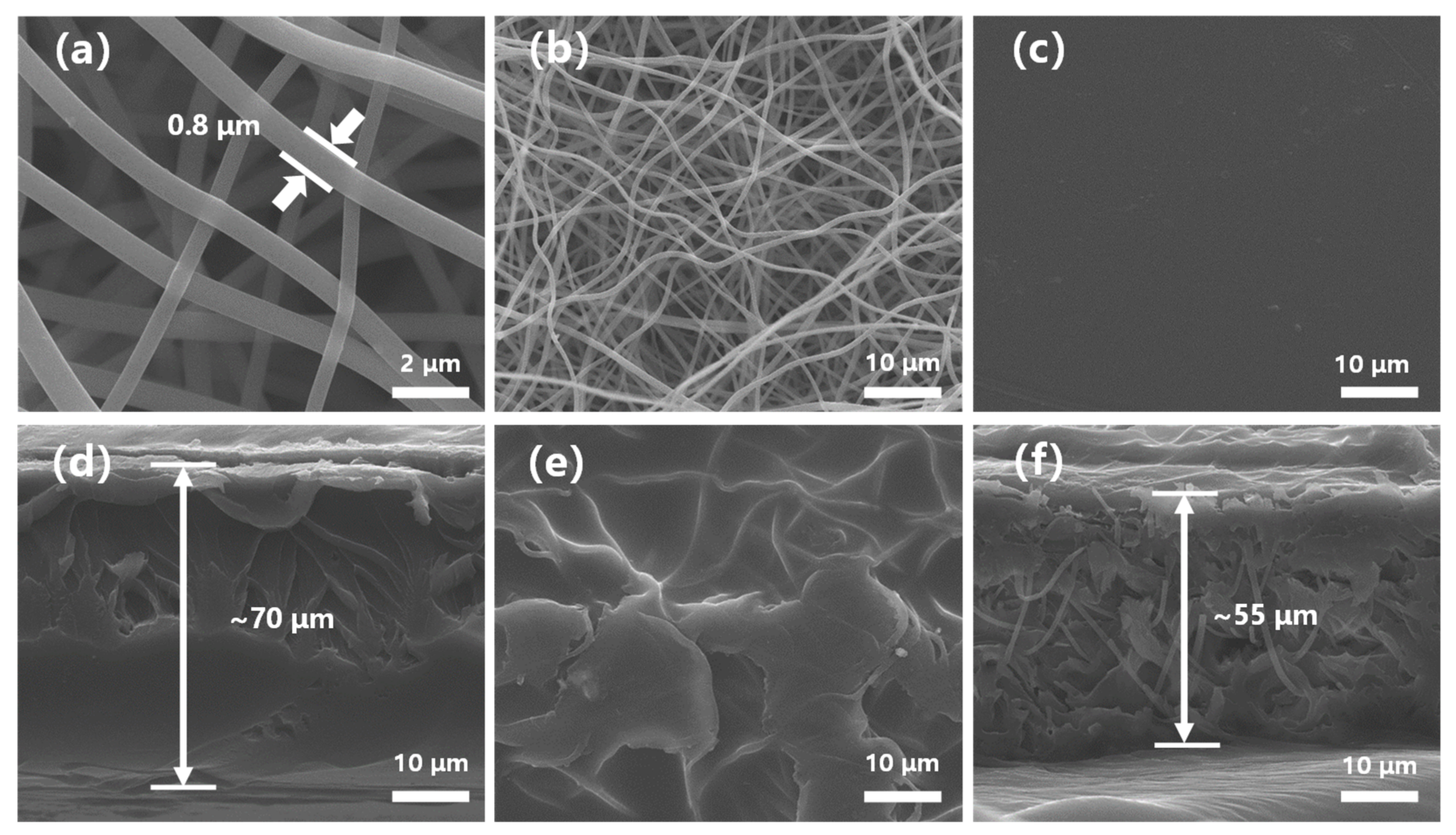 Polymers 13 00523 g002