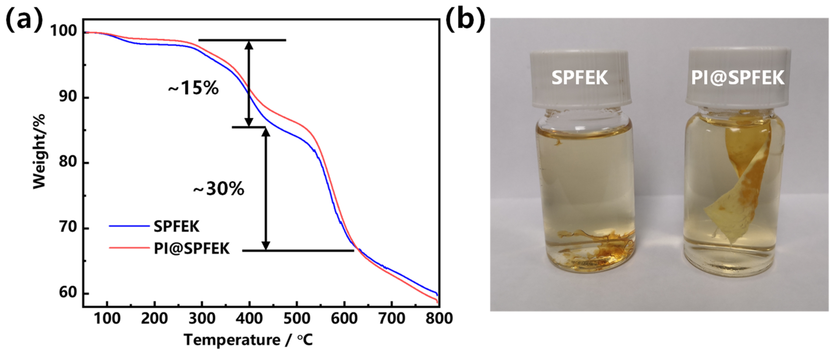 Polymers 13 00523 g003