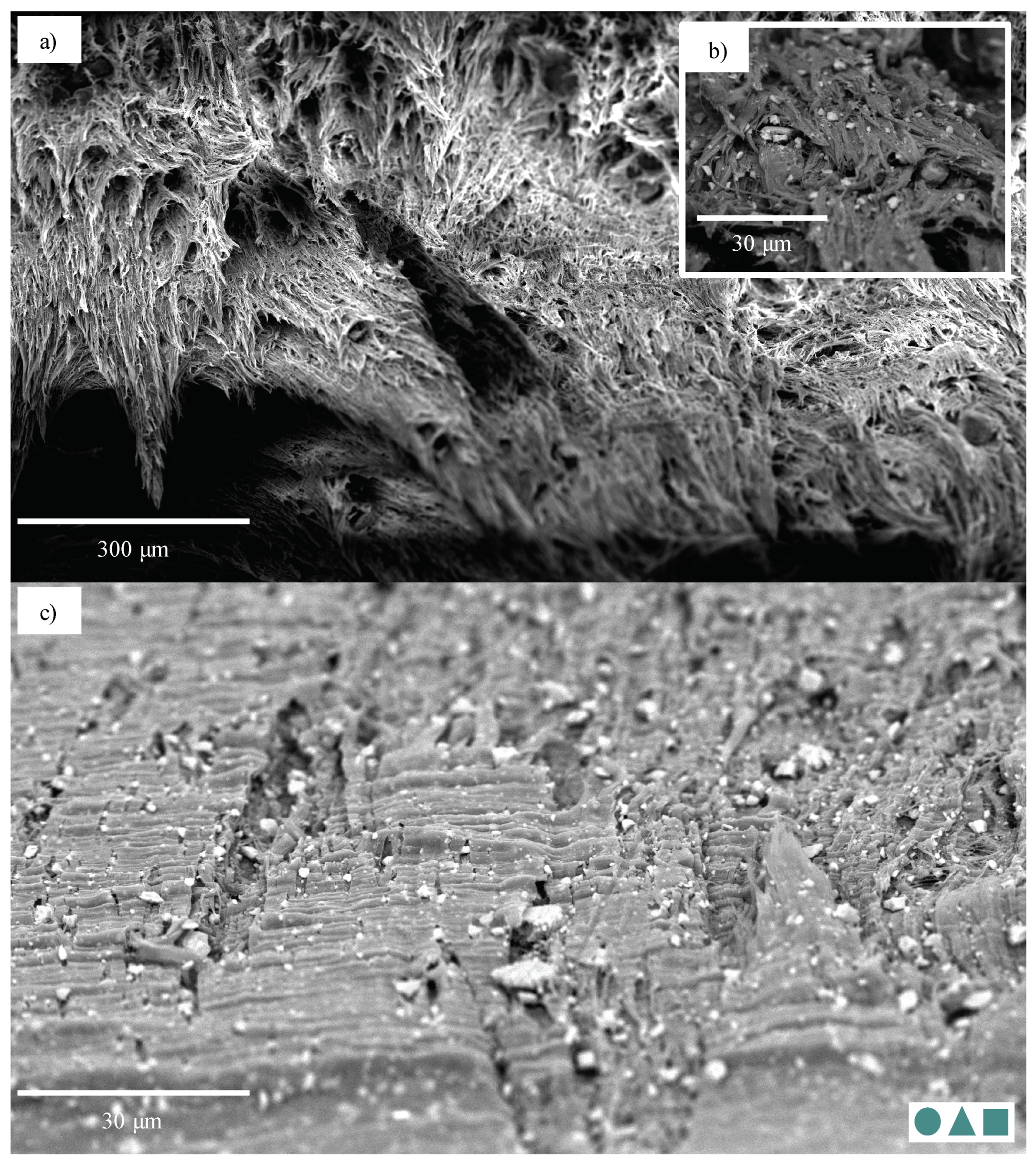 Polymers 13 00527 g023 Polymers 13 00527 g023