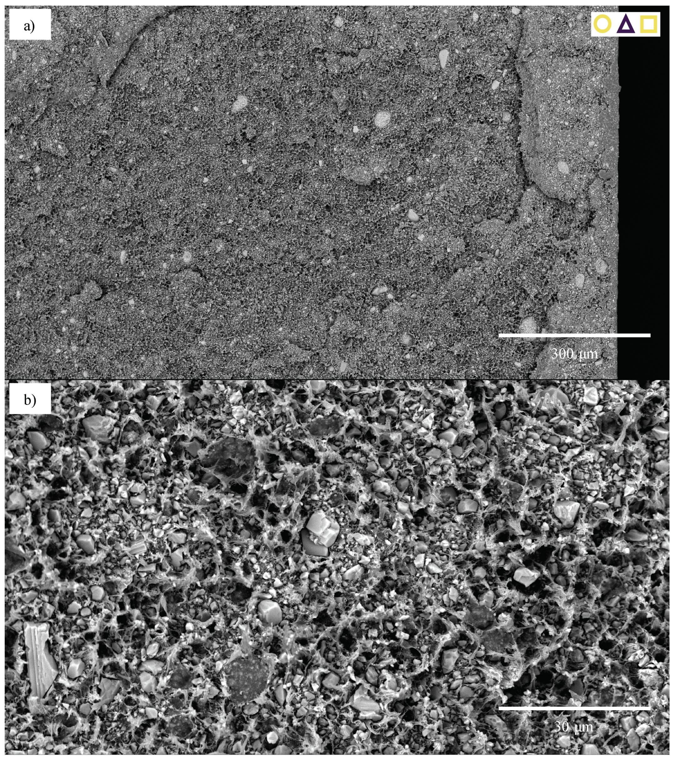 Polymers 13 00527 g025 Polymers 13 00527 g025