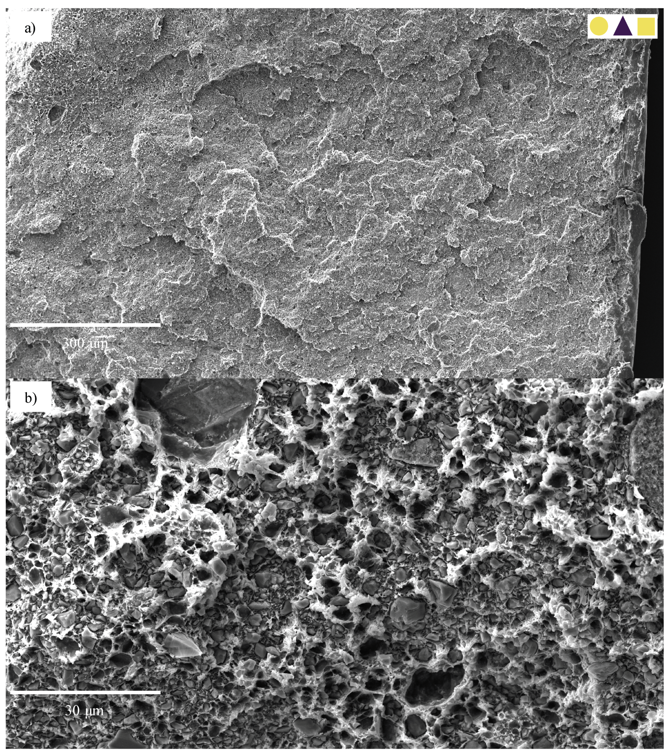 Polymers 13 00527 g026 Polymers 13 00527 g026