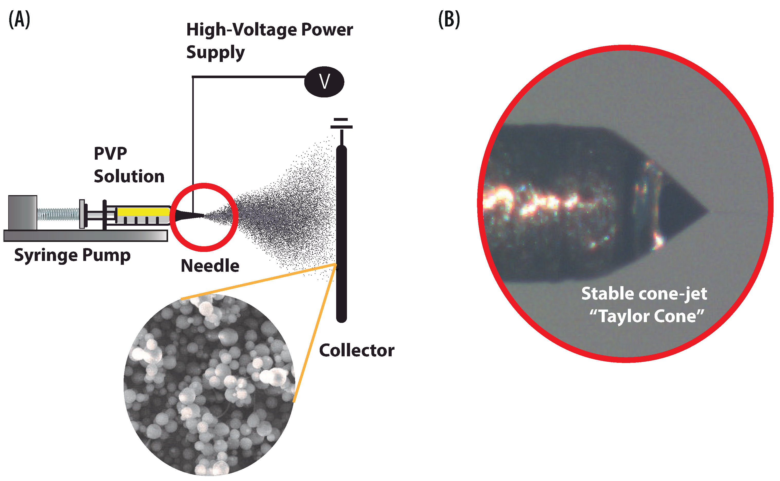 Polymers 13 00529 g001 Polymers 13 00529 g001