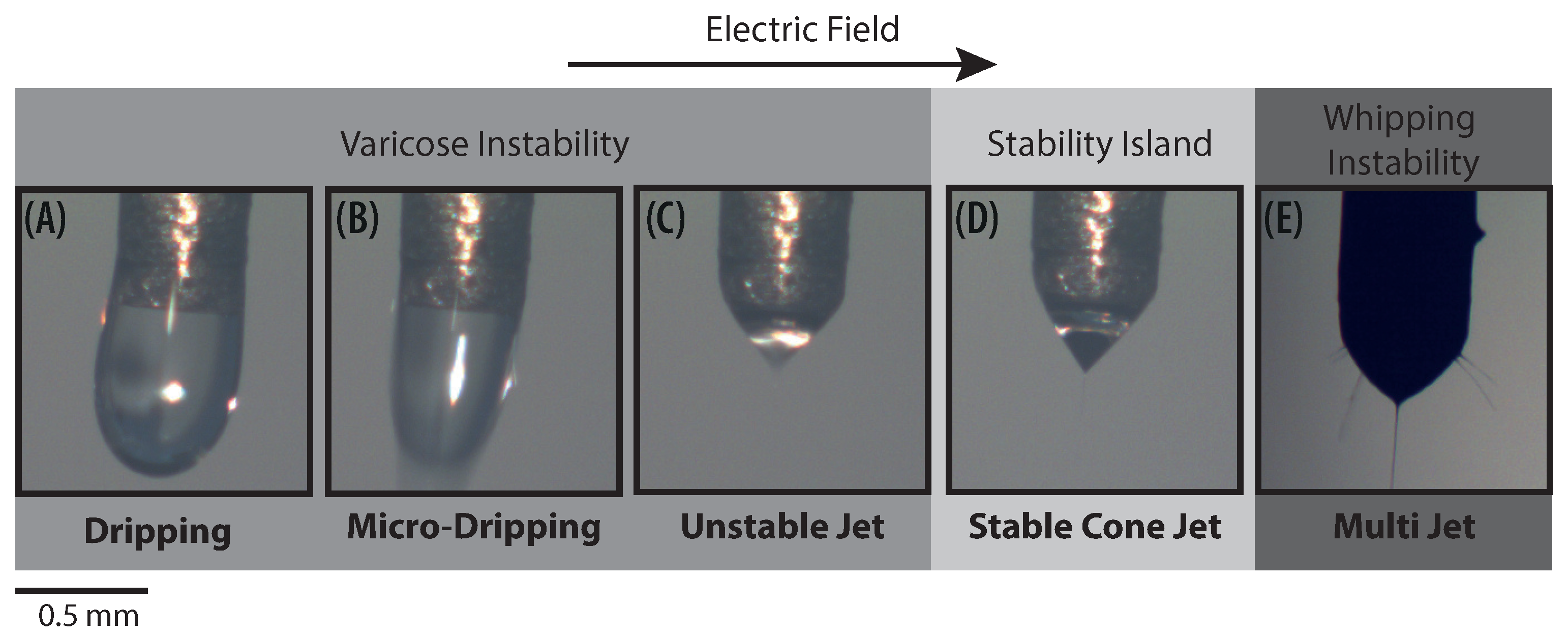 Polymers 13 00529 g002 Polymers 13 00529 g002