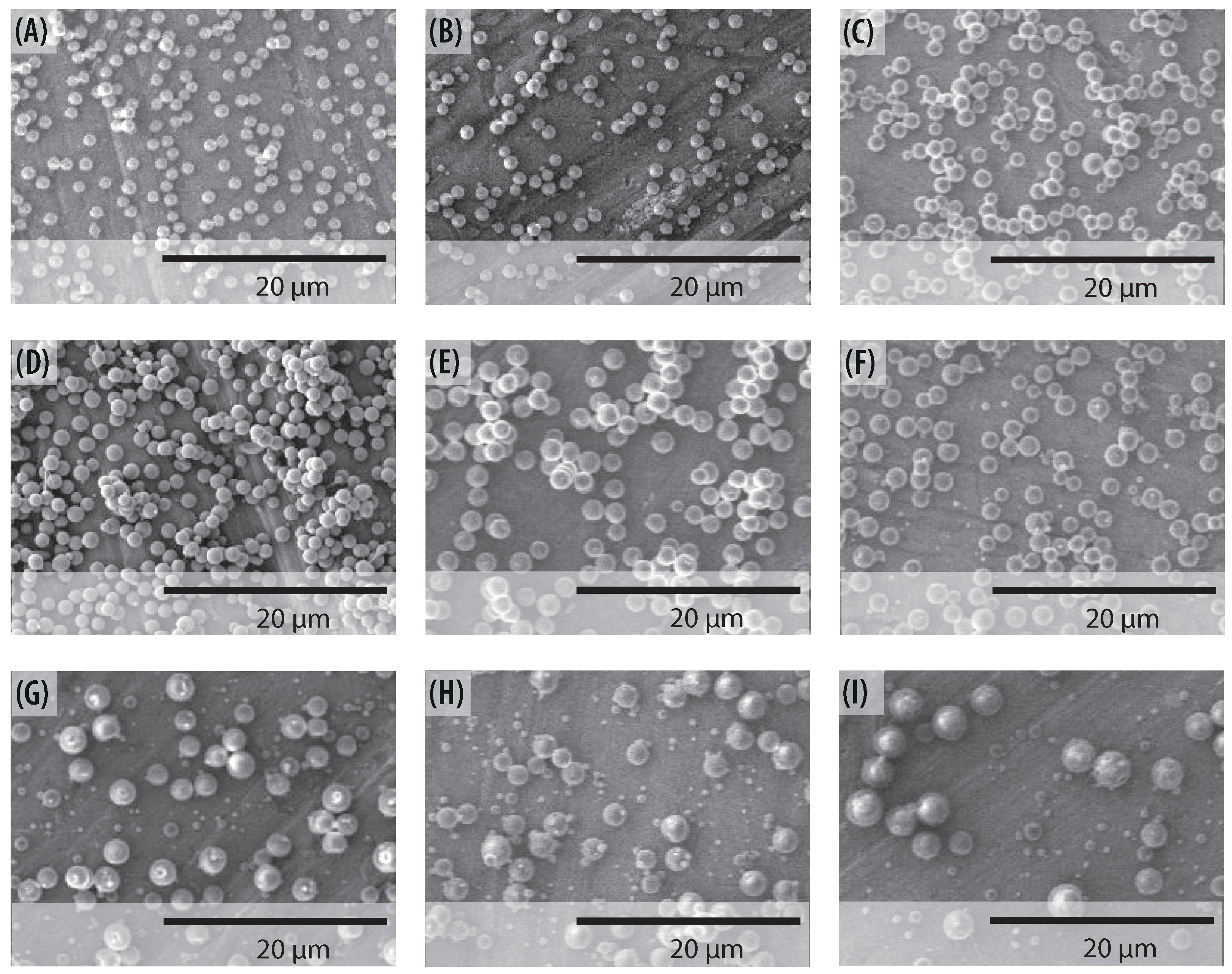 Polymers 13 00529 g014 Polymers 13 00529 g014