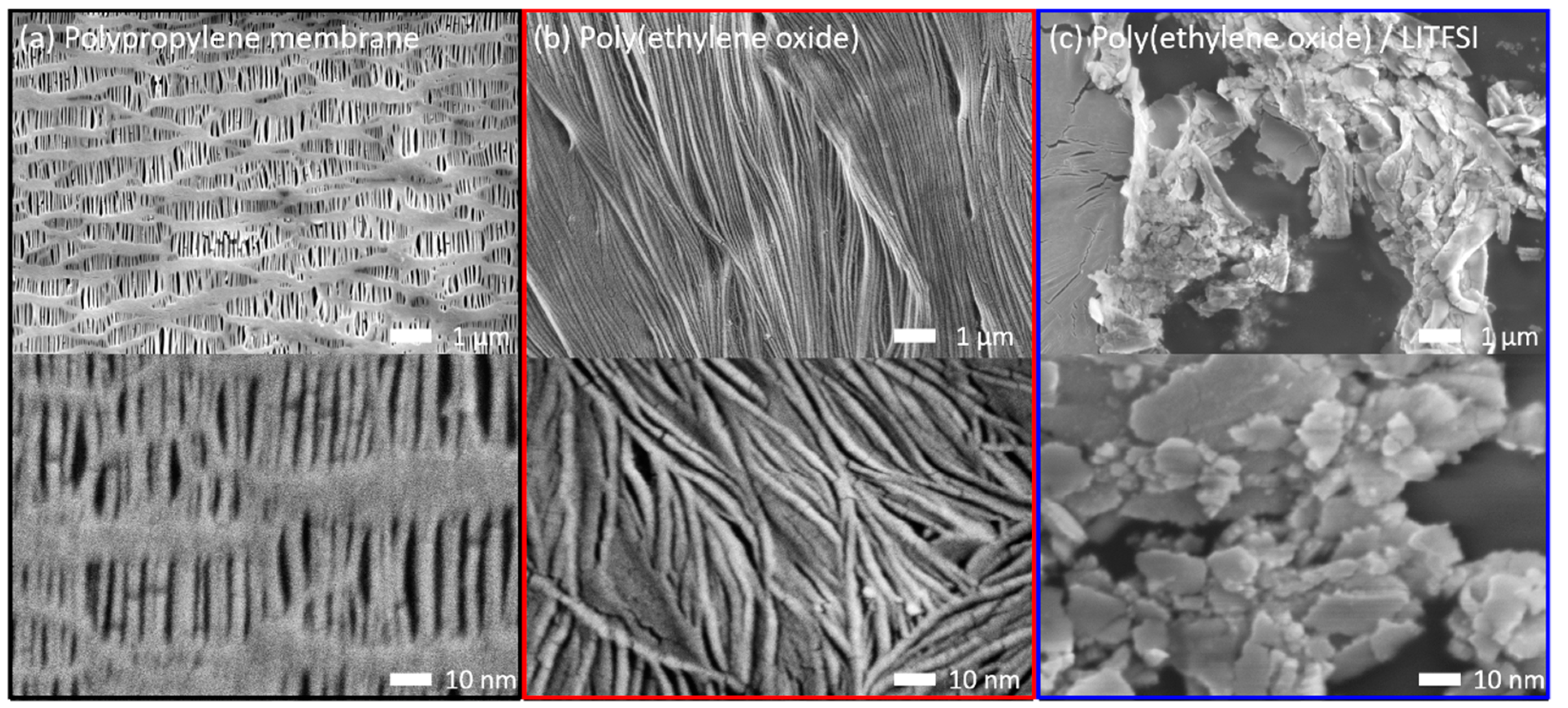 Polymers 13 00535 g001 550
