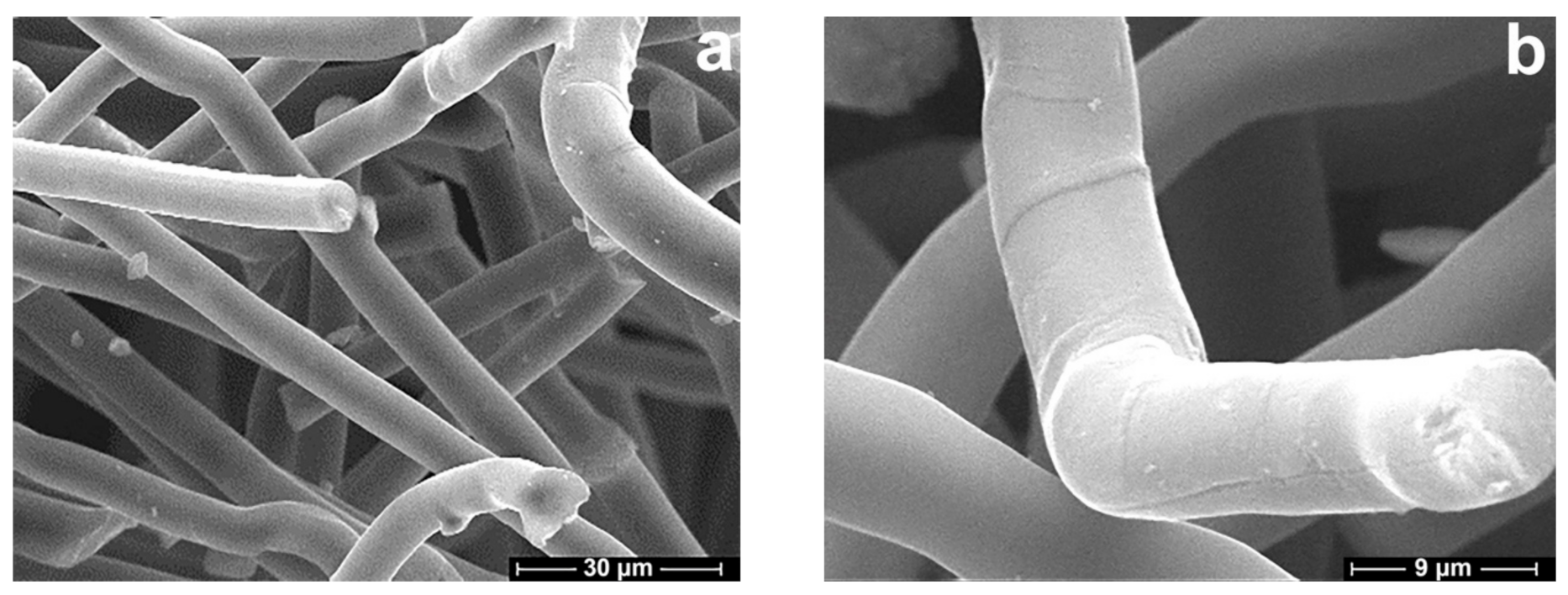 Polymers 13 00537 g006 Polymers 13 00537 g006