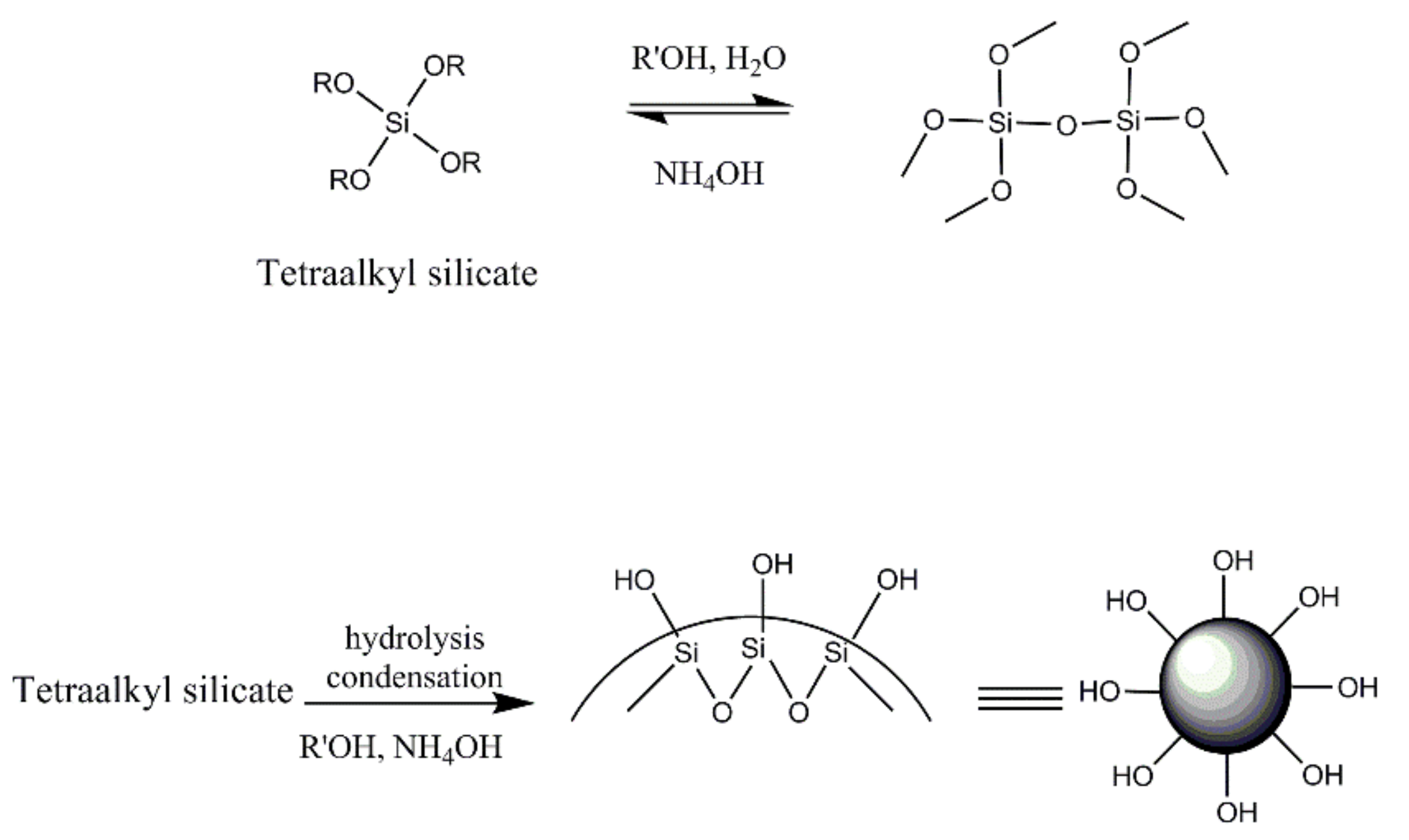 Polymers 13 00539 g001 Polymers 13 00539 g001