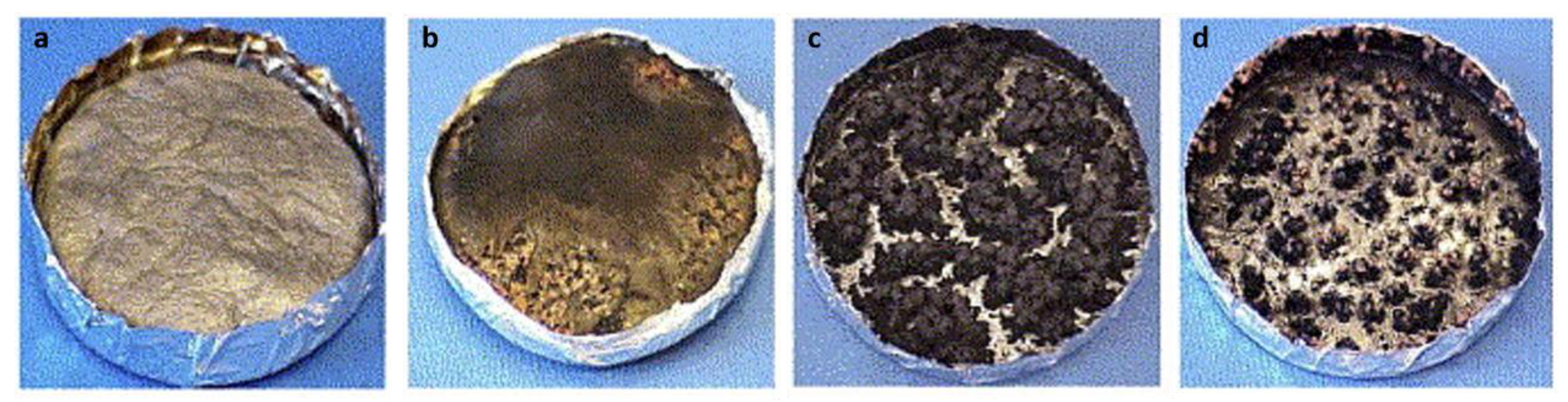 Polymers 13 00540 g017 Polymers 13 00540 g017