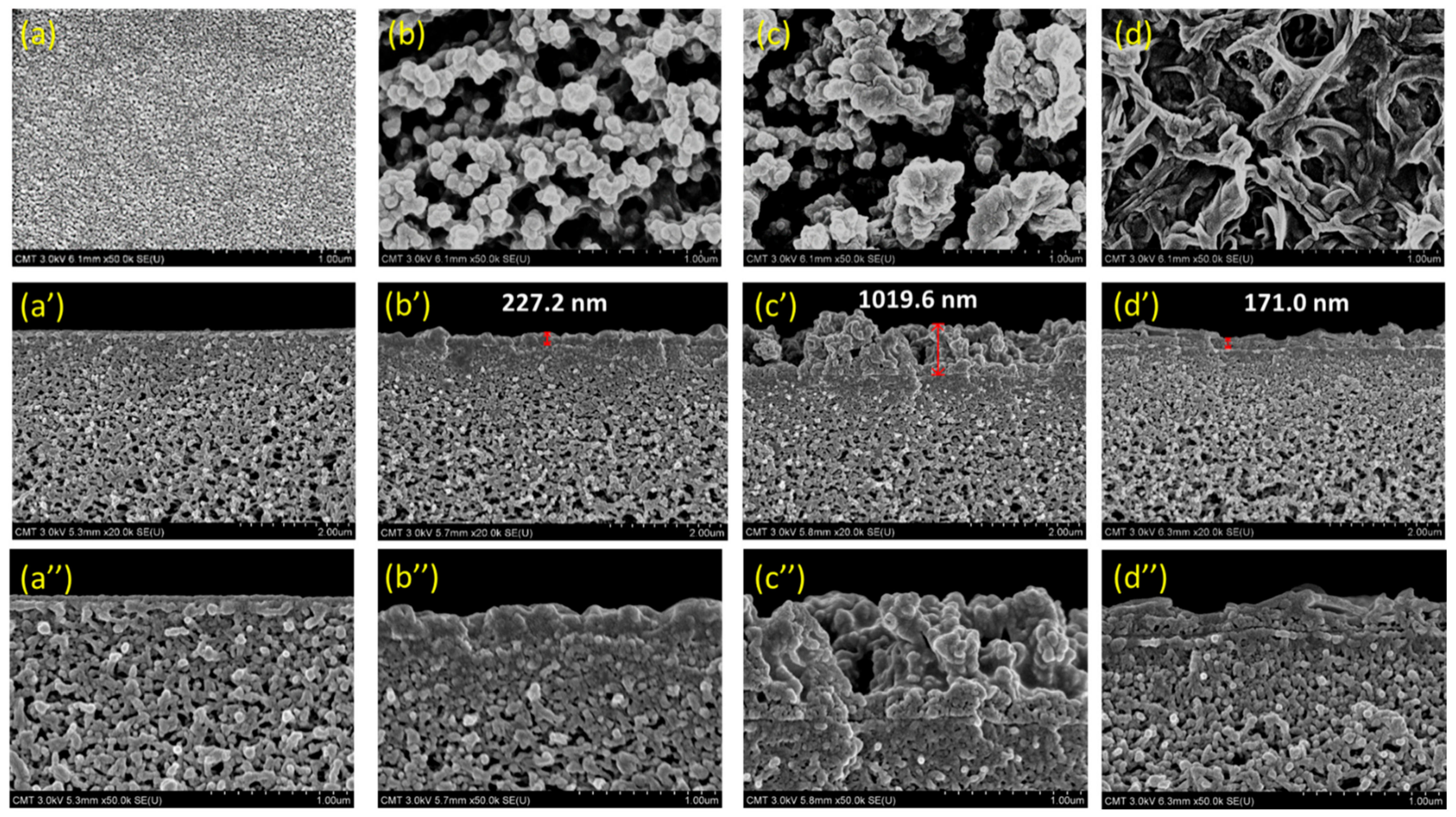 Polymers 13 00544 g005 Polymers 13 00544 g005