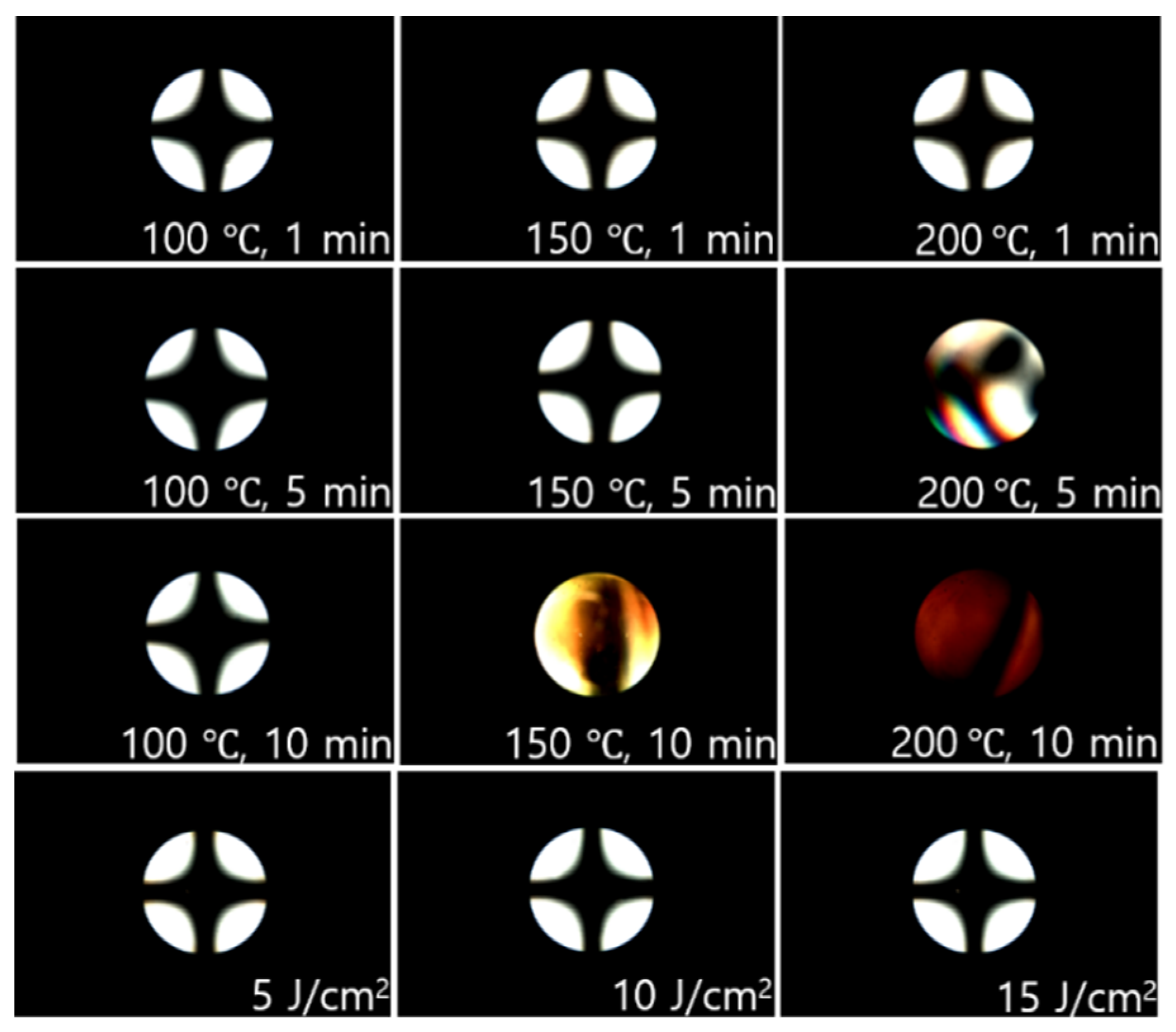 Polymers 13 00547 g008 Polymers 13 00547 g008