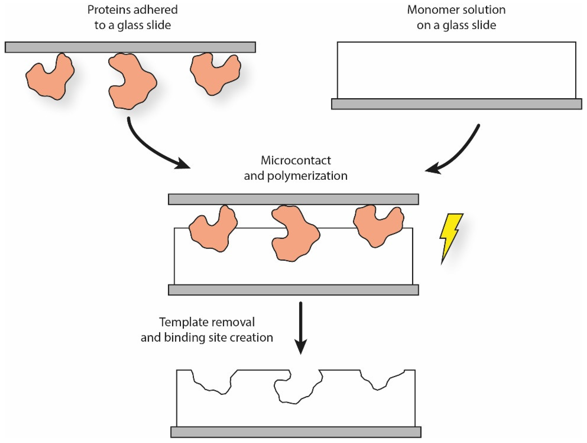 Polymers 13 00548 g002 Polymers 13 00548 g002