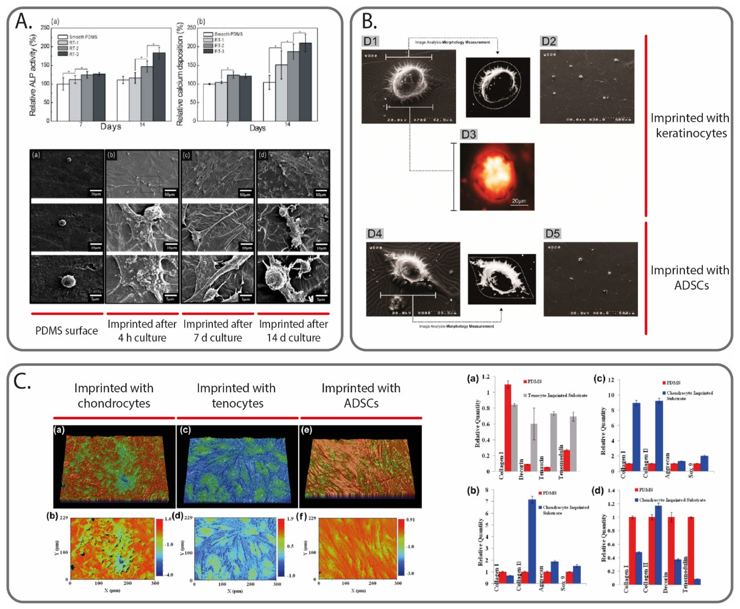 Polymers 13 00548 g004 Polymers 13 00548 g004