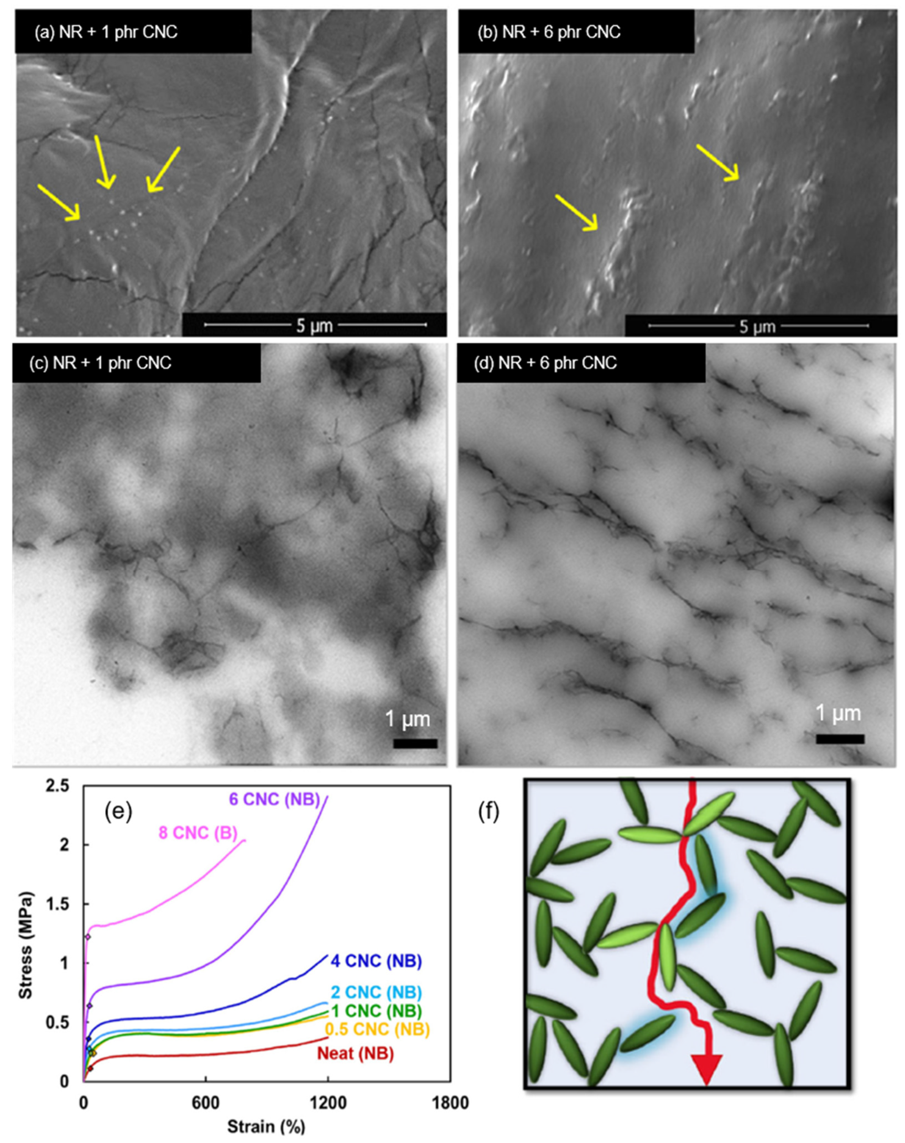 Polymers 13 00550 g007 Polymers 13 00550 g007