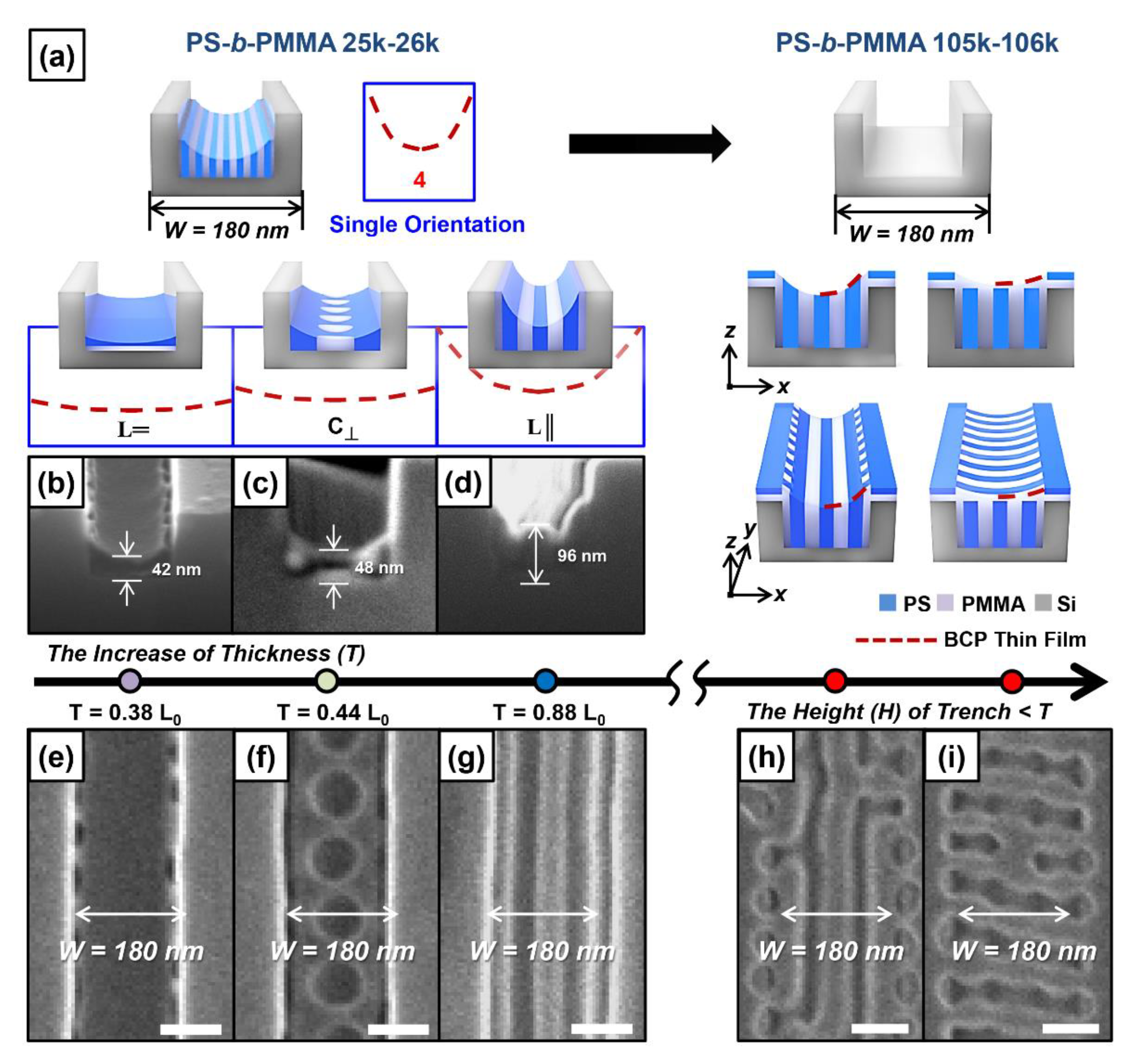 Polymers 13 00553 g002 Polymers 13 00553 g002