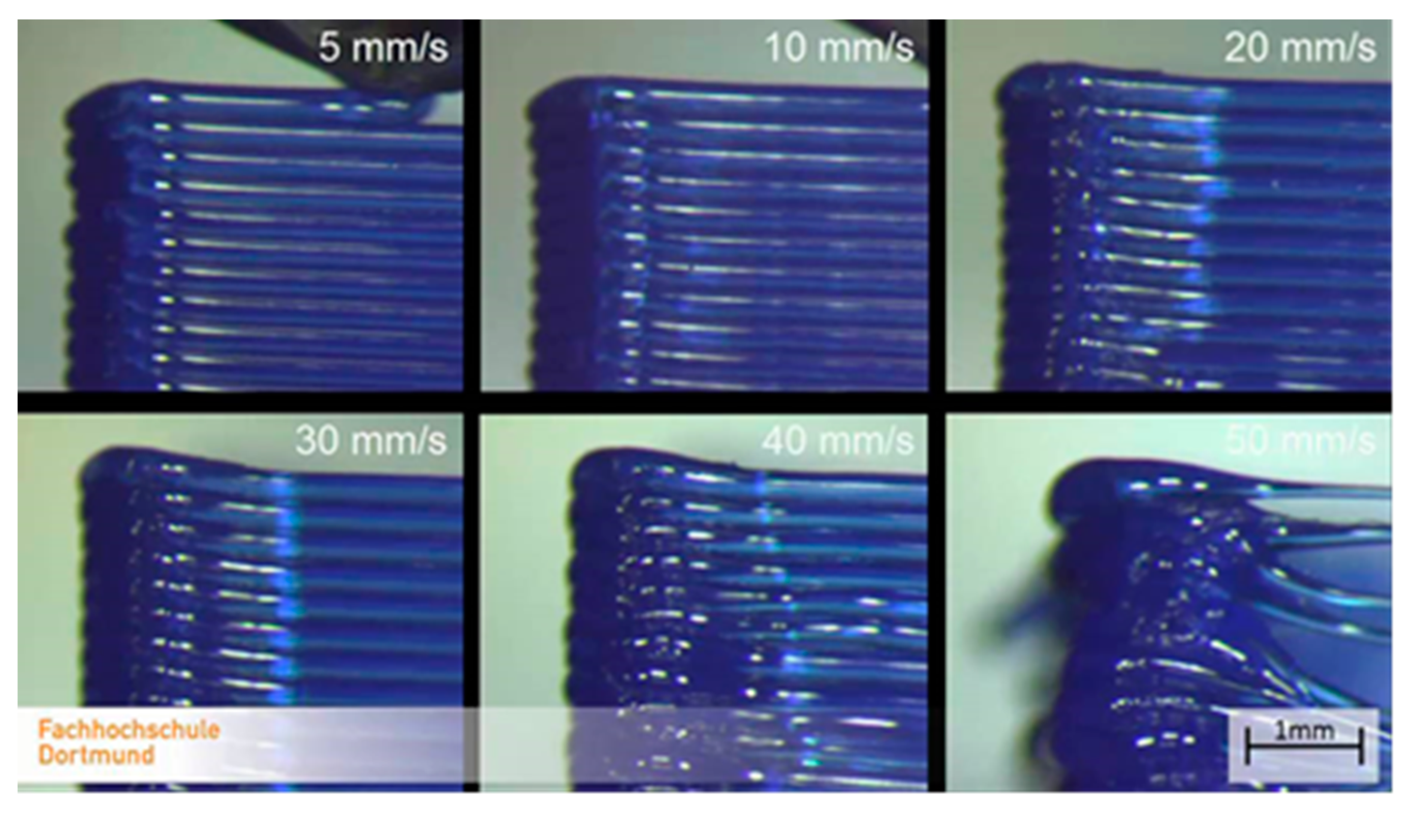 Polymers 13 00556 g013 Polymers 13 00556 g013