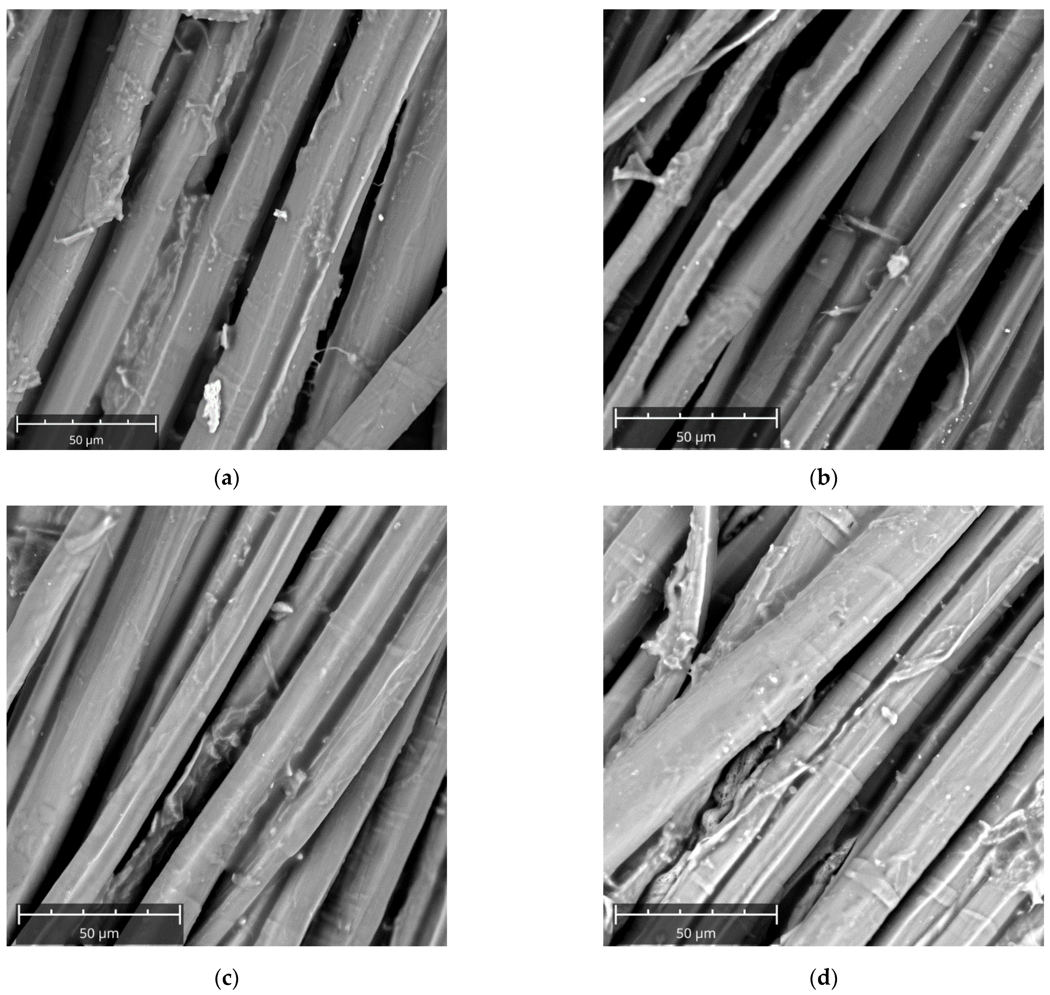 Polymers 13 00559 g012