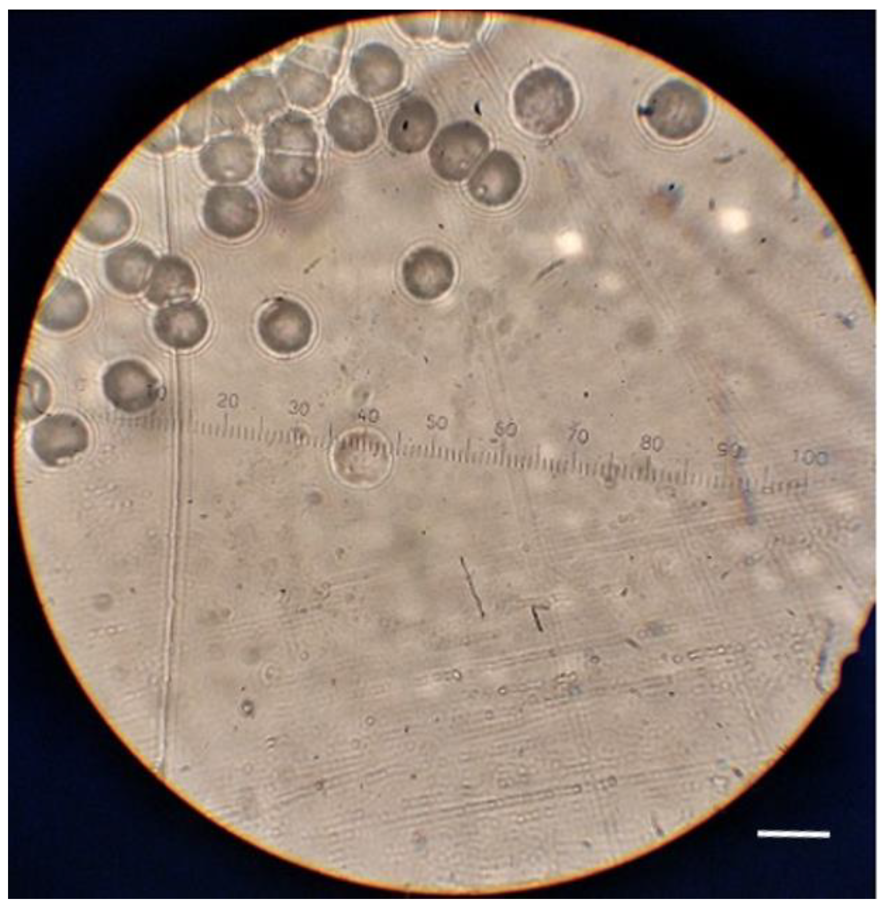 Polymers 13 00560 g003 Polymers 13 00560 g003