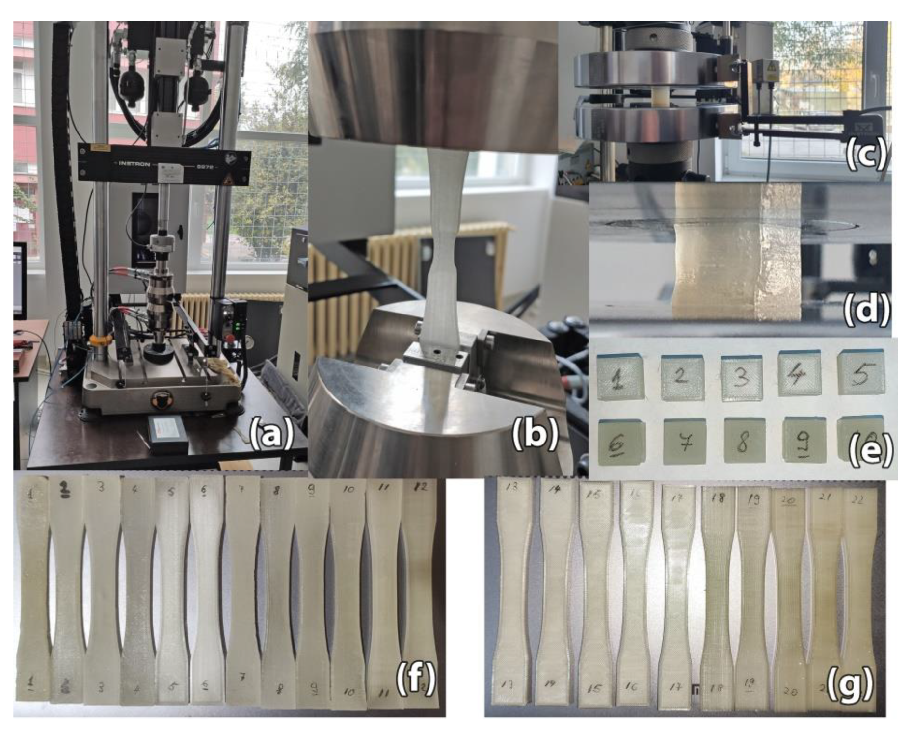 Polymers 13 00562 g003