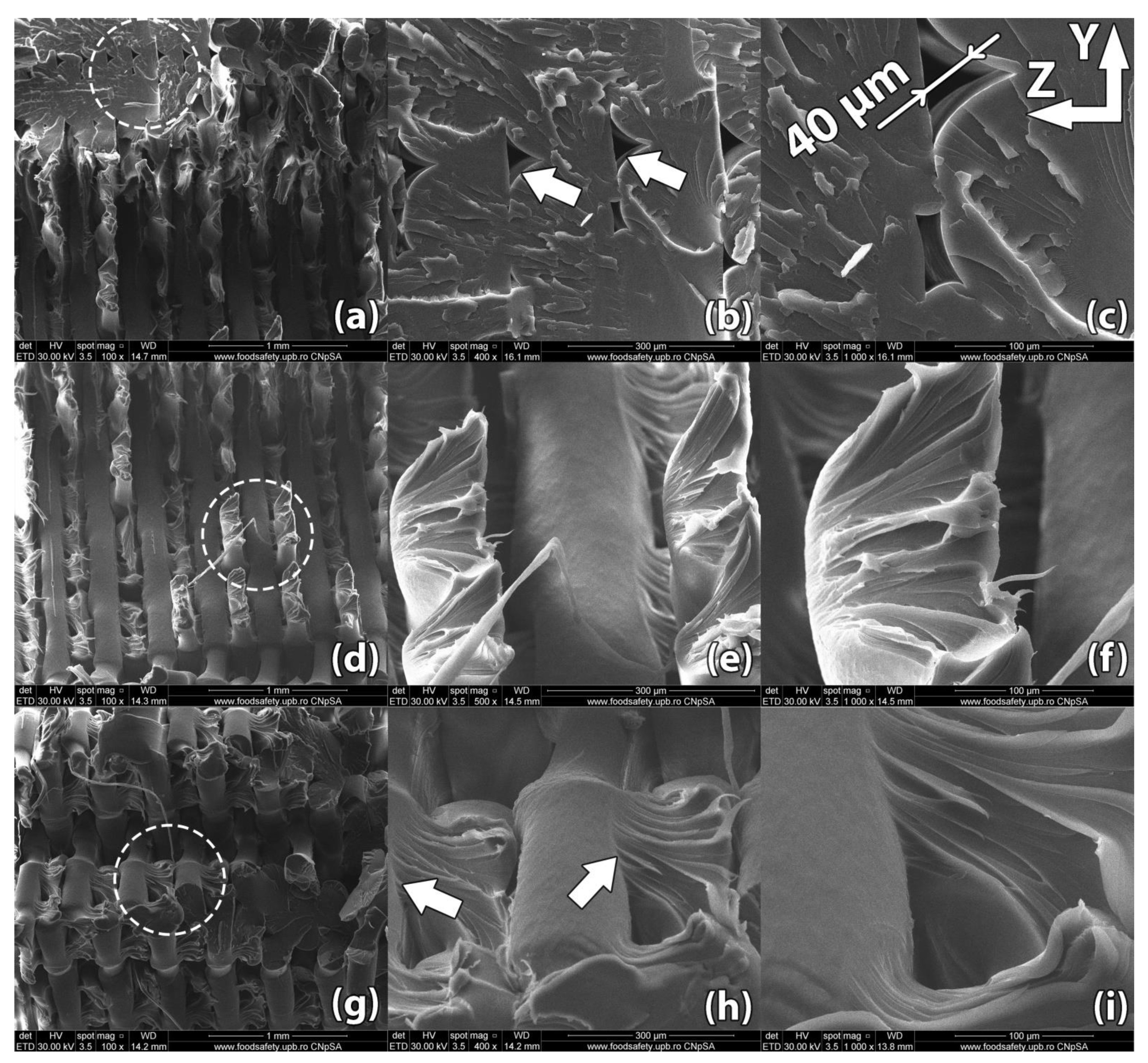 Polymers 13 00562 g008
