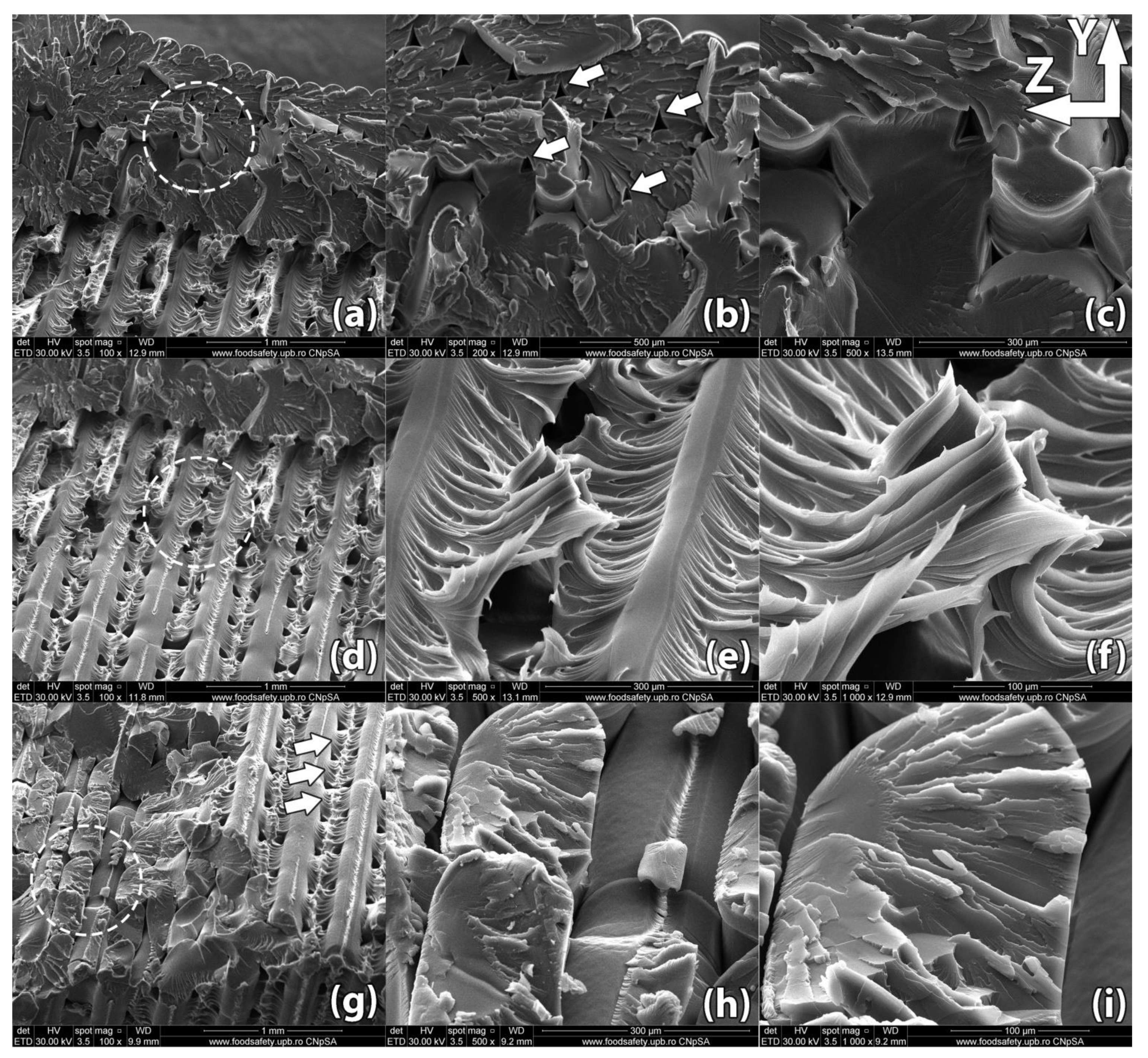 Polymers 13 00562 g009