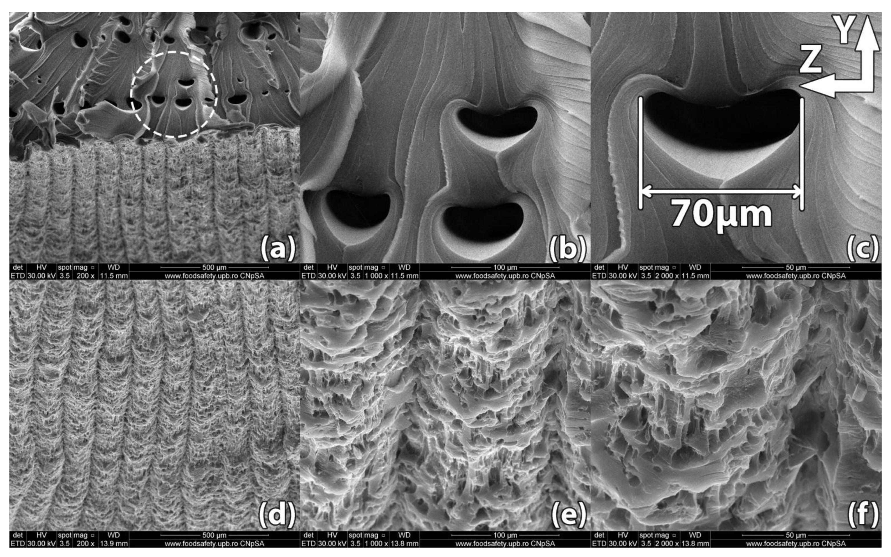 Polymers 13 00562 g010