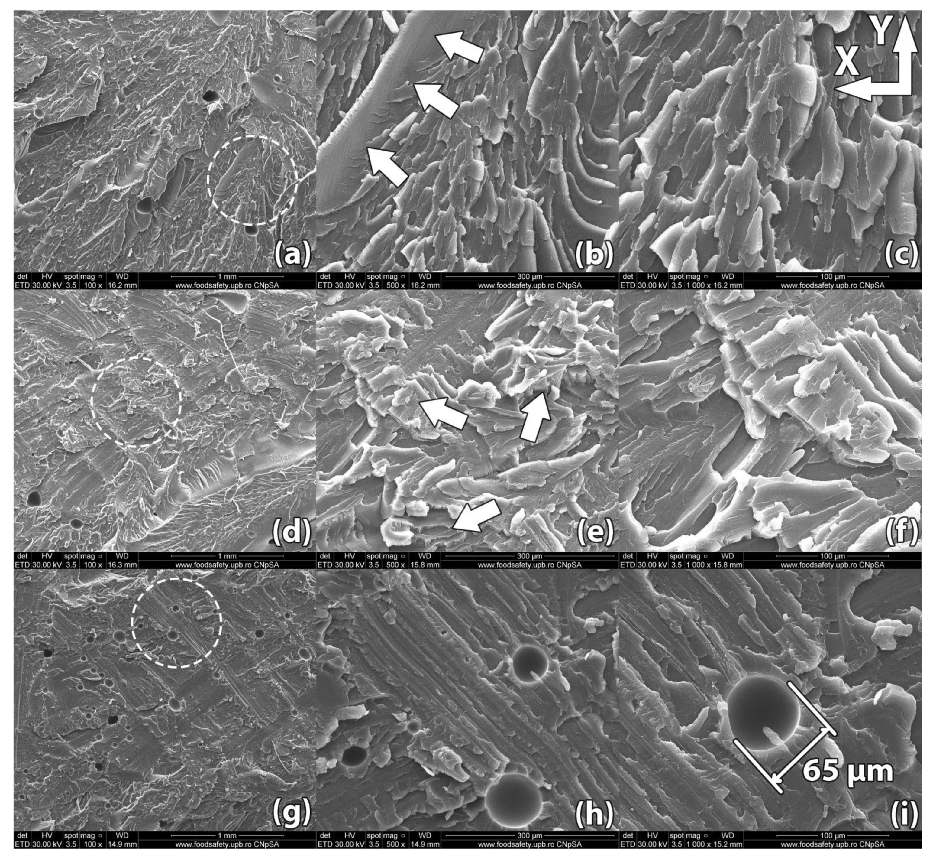 Polymers 13 00562 g012