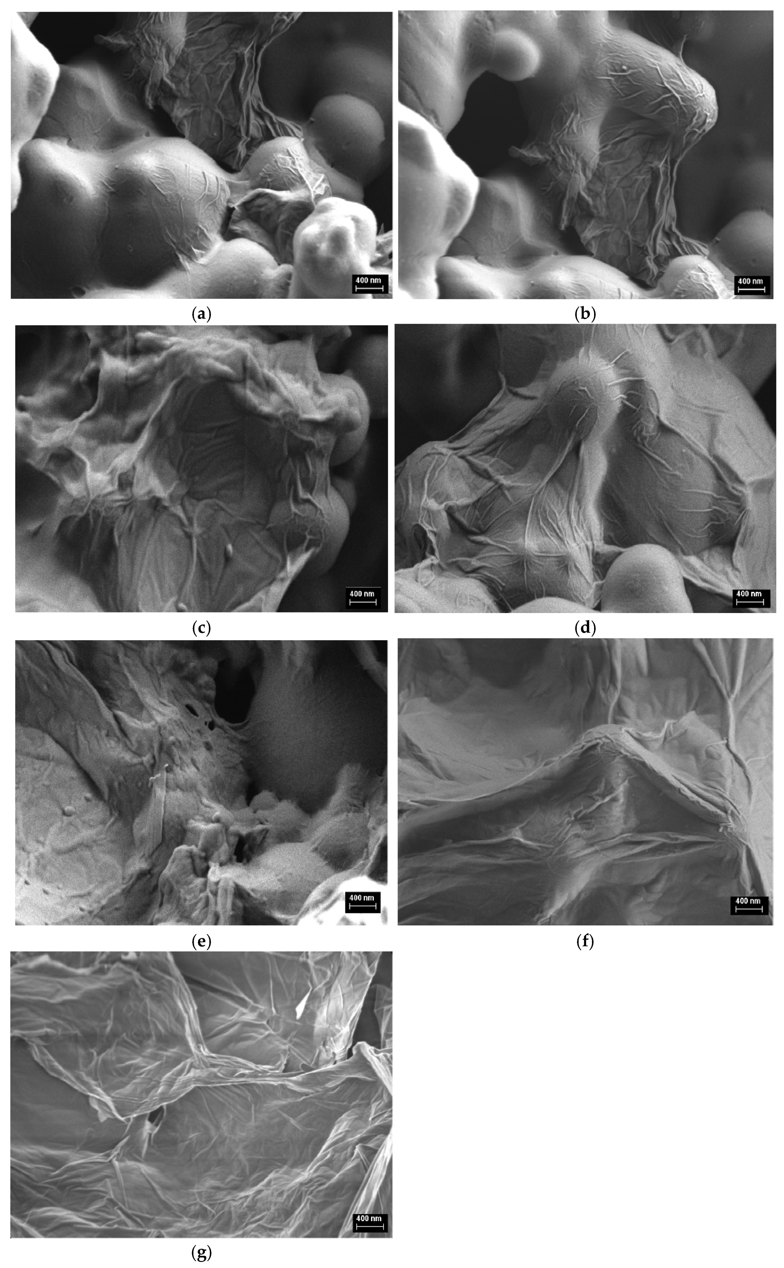 Polymers 13 00565 g002