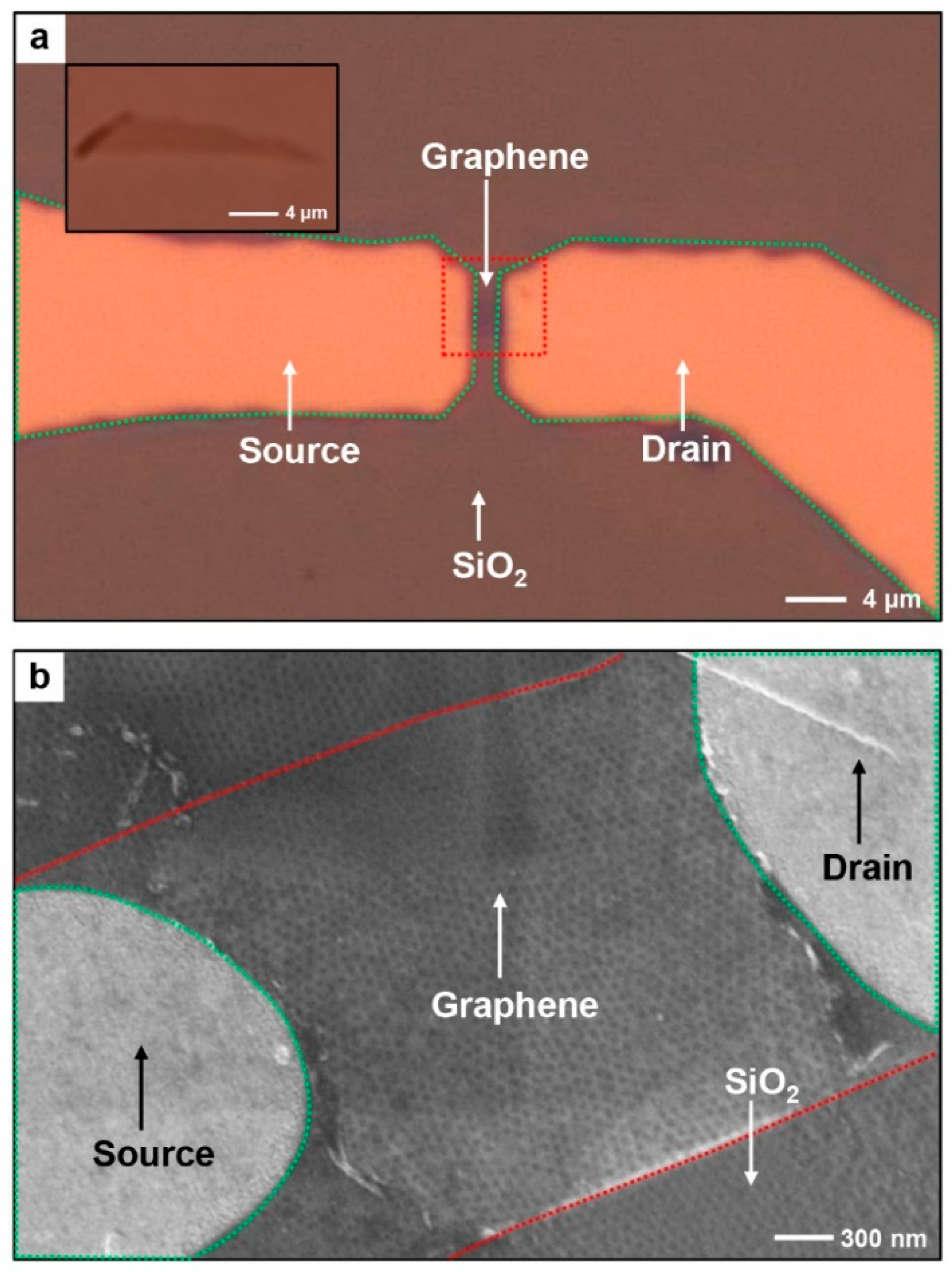 Polymers 13 00566 g003 Polymers 13 00566 g003