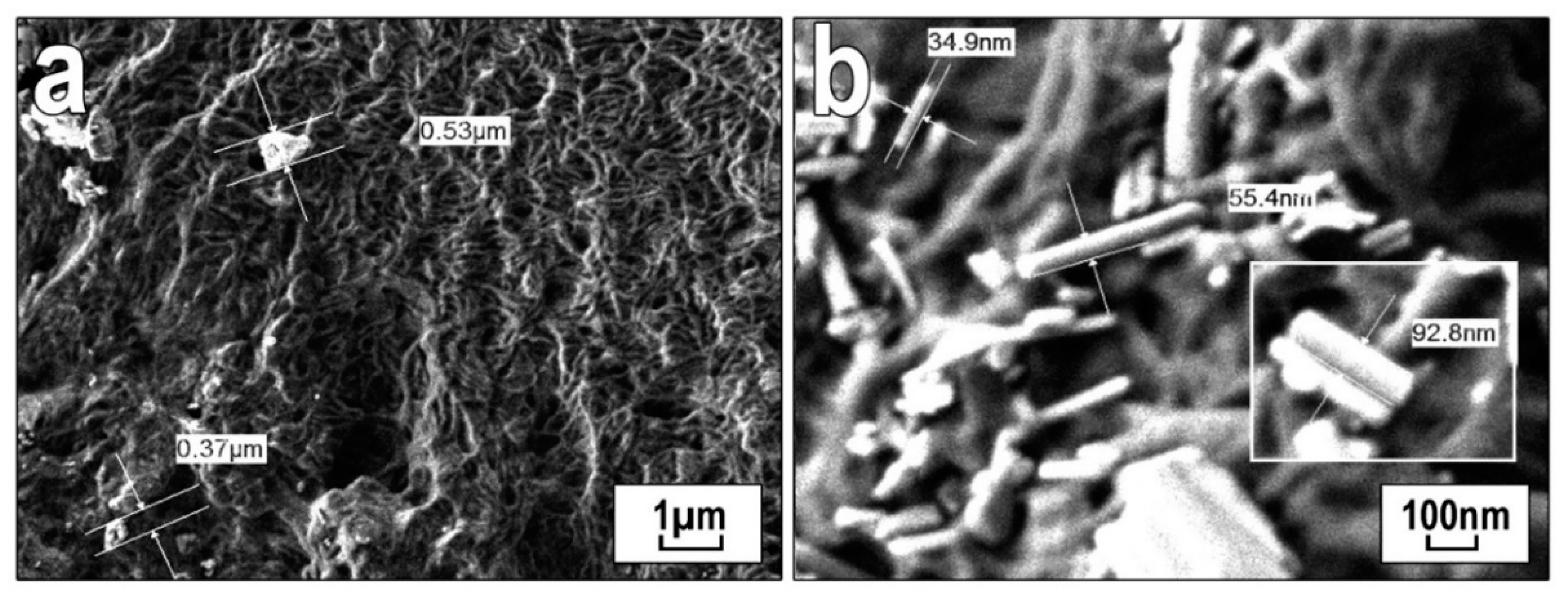 Polymers 13 00570 g007 Polymers 13 00570 g007