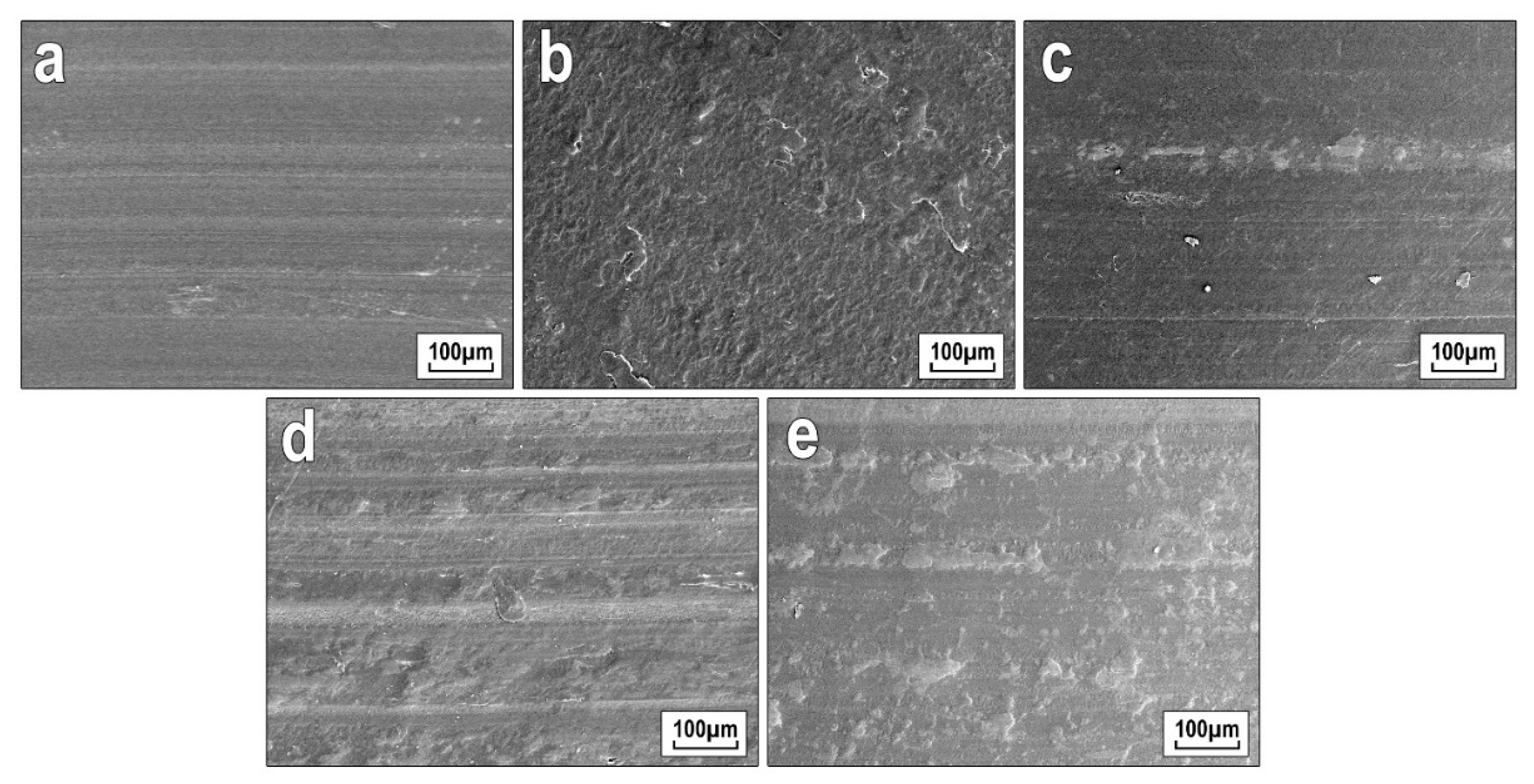 Polymers 13 00570 g008 Polymers 13 00570 g008