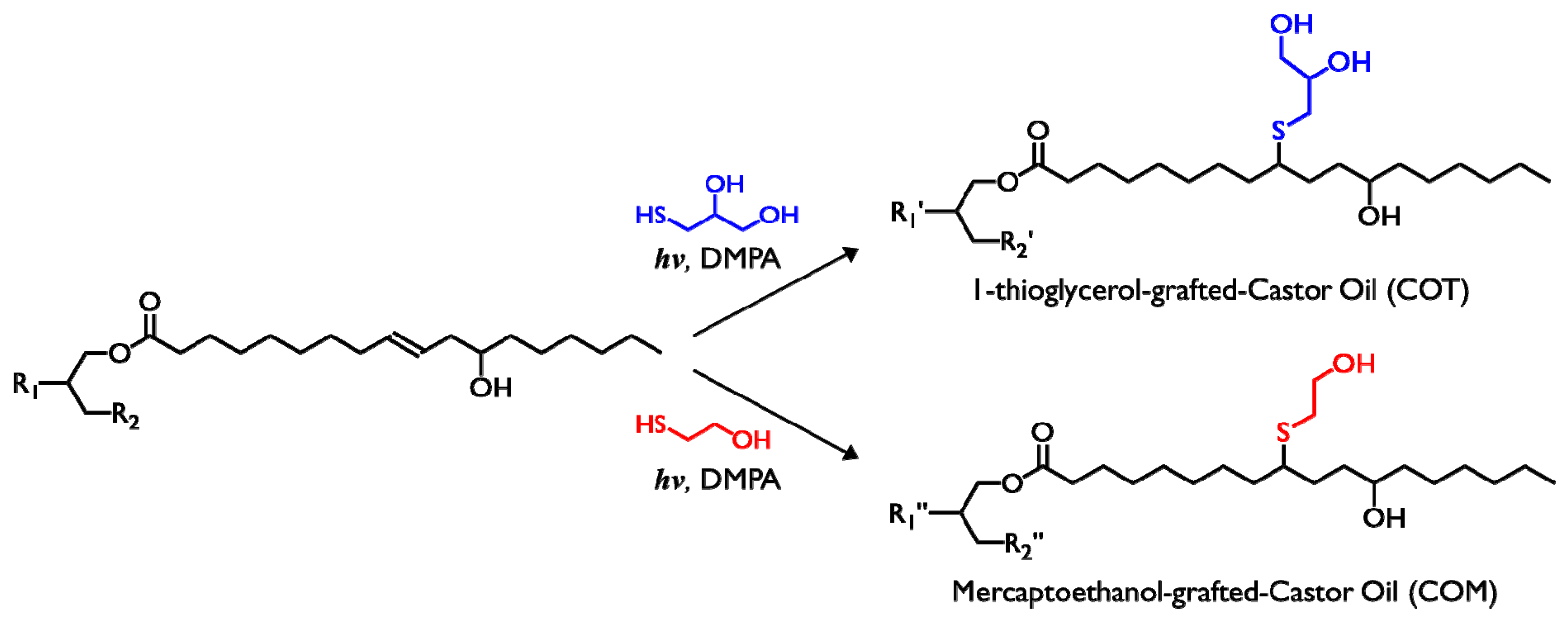 Polymers 13 00576 sch001