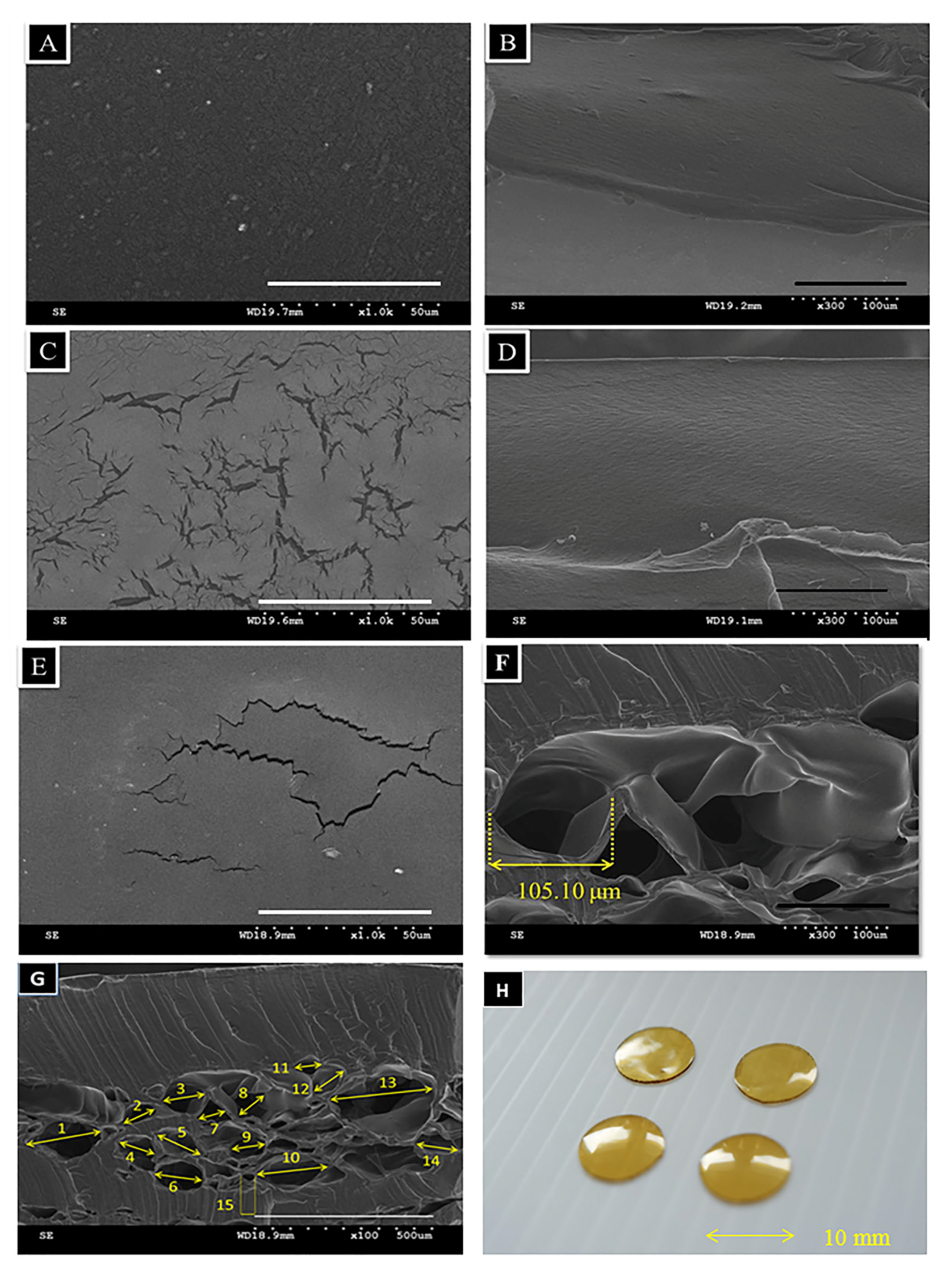 Polymers 13 00579 g002