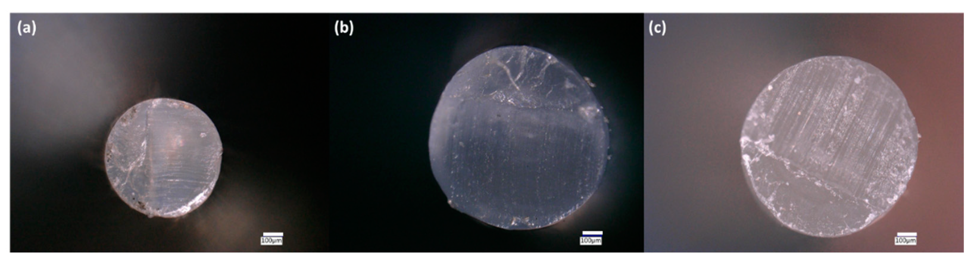 Polymers 13 00580 g002 Polymers 13 00580 g002