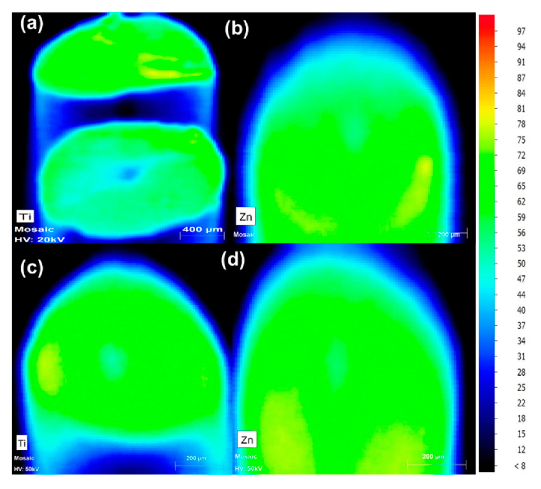 Polymers 13 00580 g004 Polymers 13 00580 g004