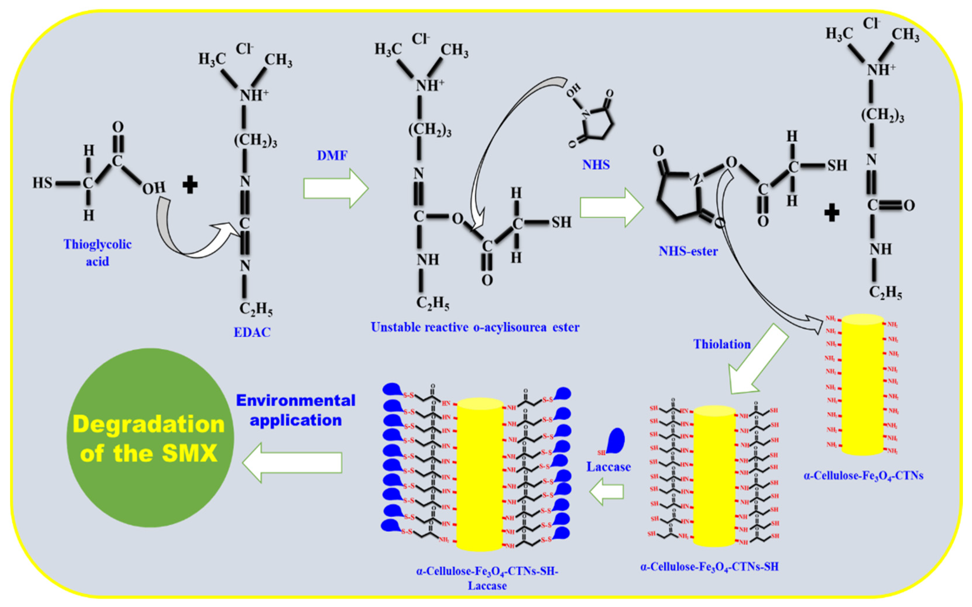 Polymers 13 00581 g001