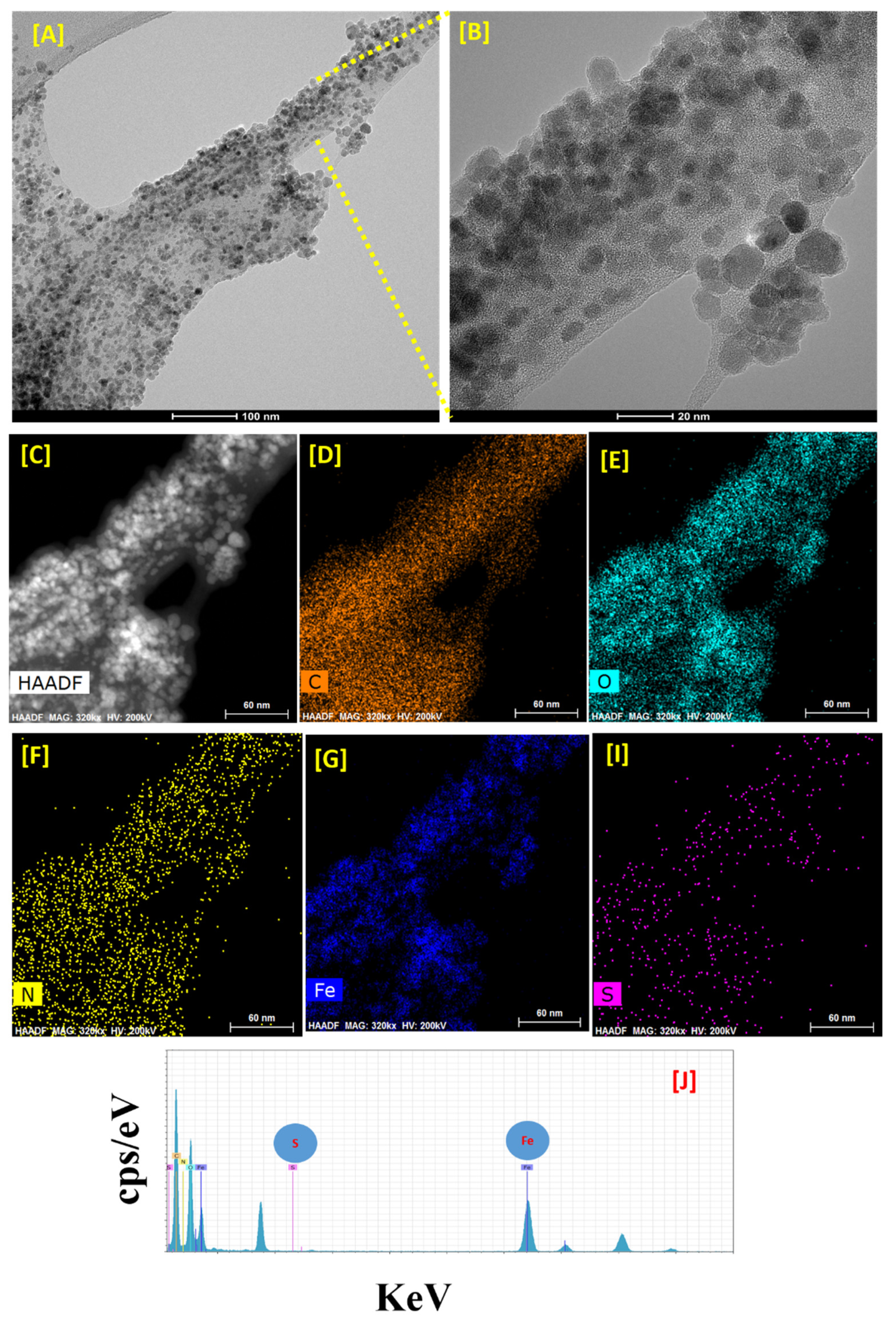 Polymers 13 00581 g002