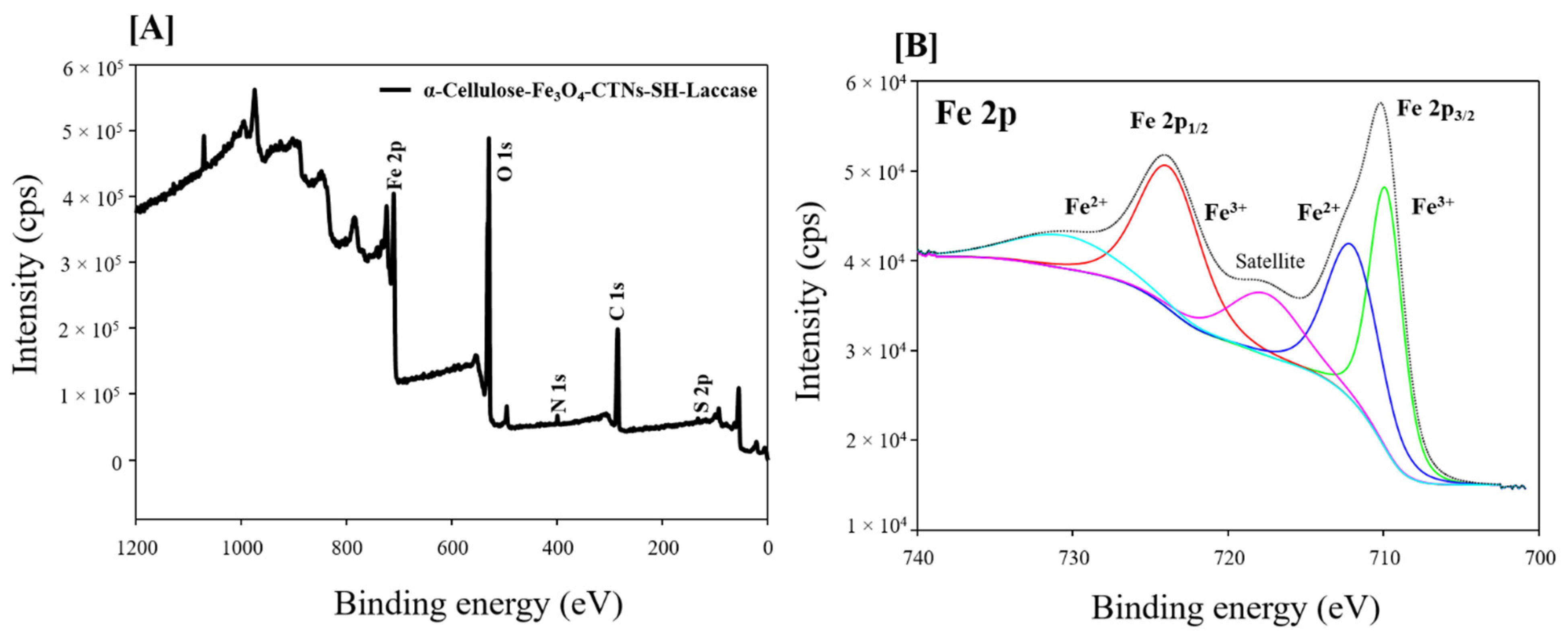 Polymers 13 00581 g005