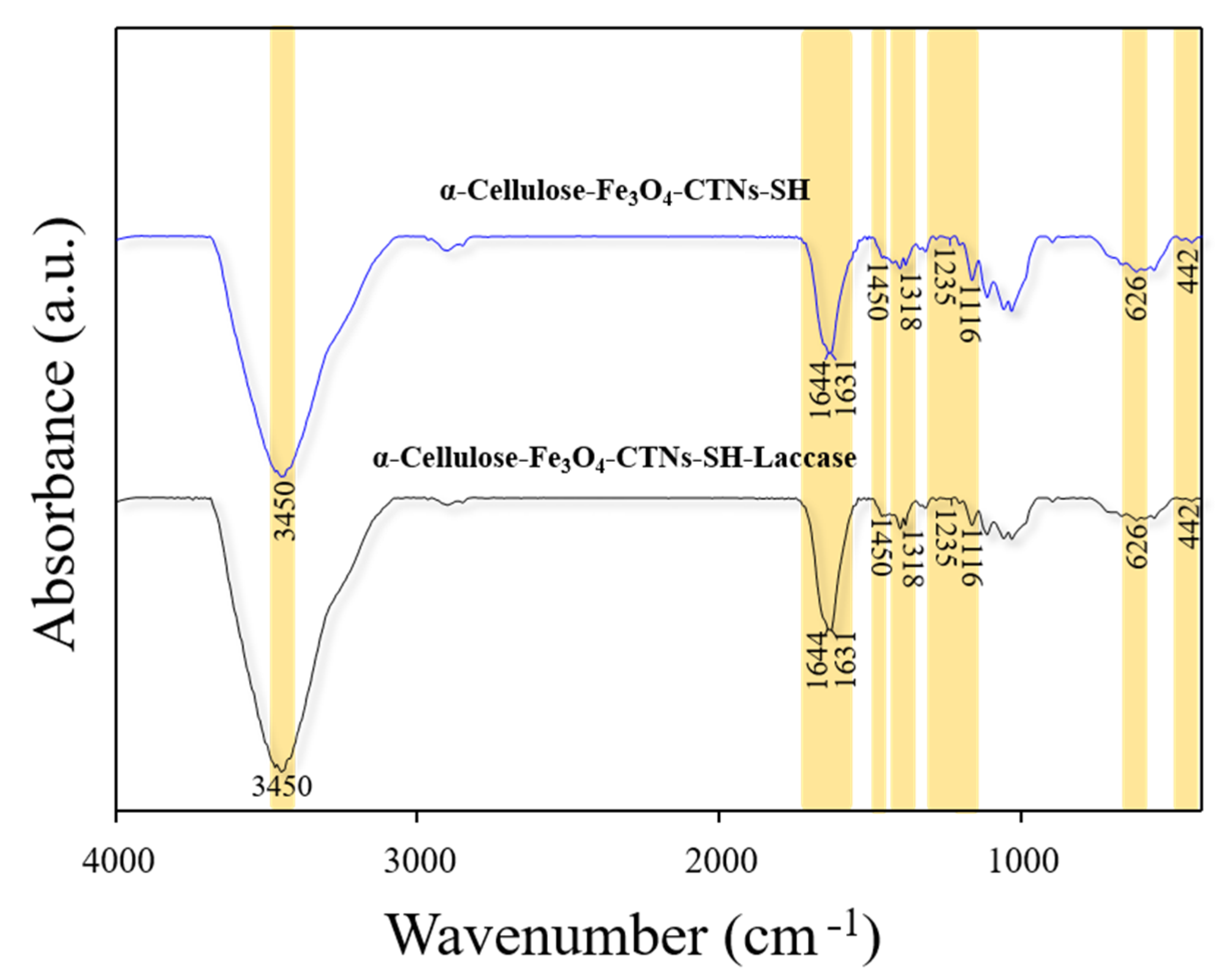 Polymers 13 00581 g006