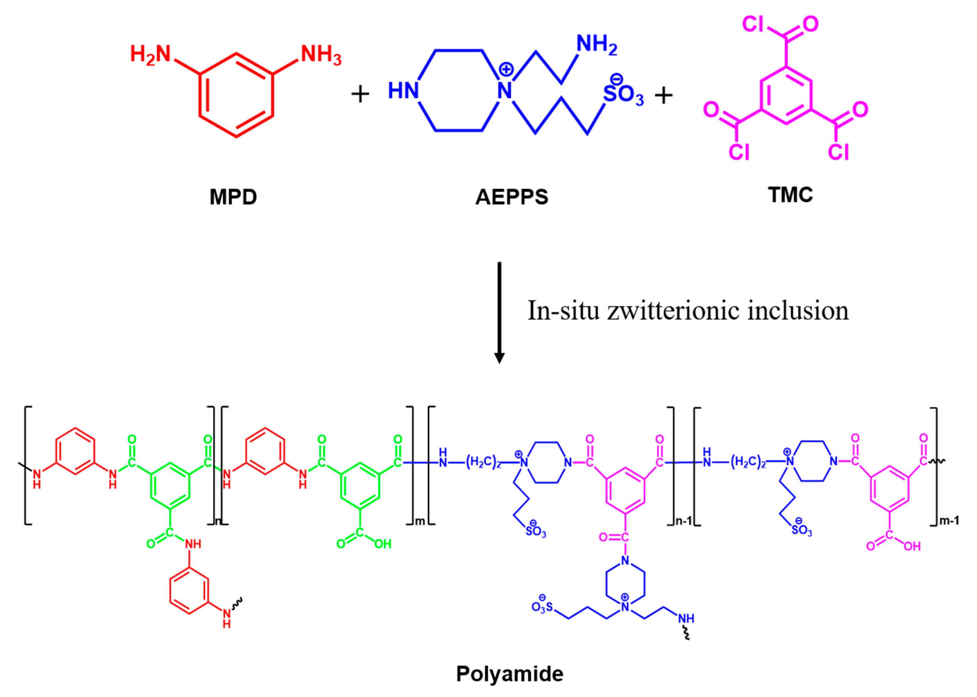 Polymers 13 00583 g003 Polymers 13 00583 g003