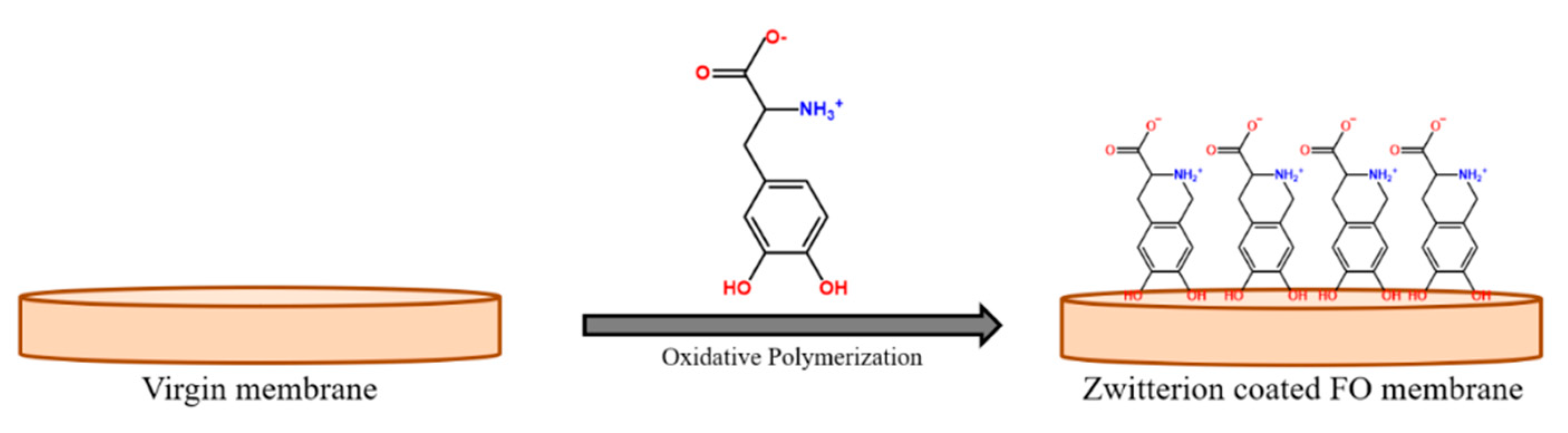 Polymers 13 00583 g005 Polymers 13 00583 g005