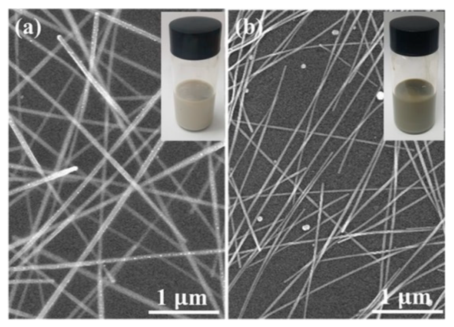 Polymers 13 00586 g001 Polymers 13 00586 g001