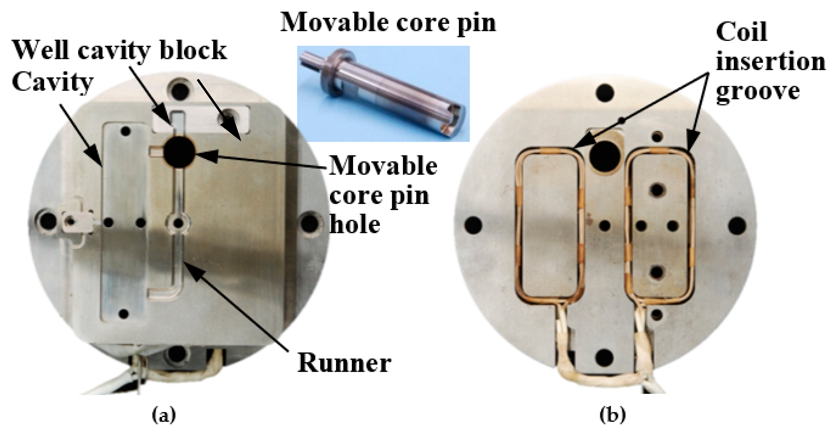 Polymers 13 00587 g004